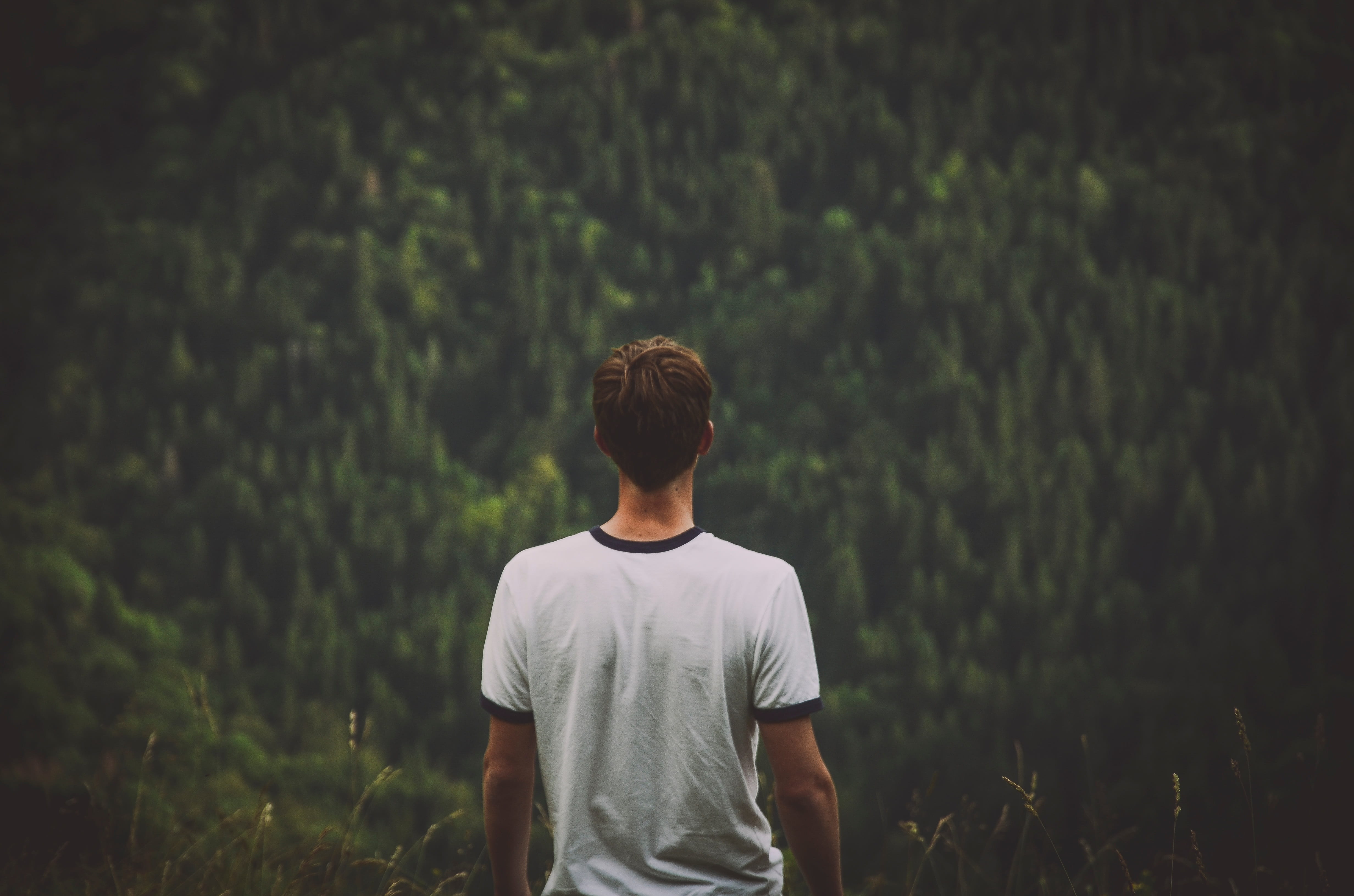 tree, color Image, people, young adult, casual clothing, standing, outdoors, relaxation, forest, white, caucasian Ethnicity, rear View, man, white and black, HD Wallpaper