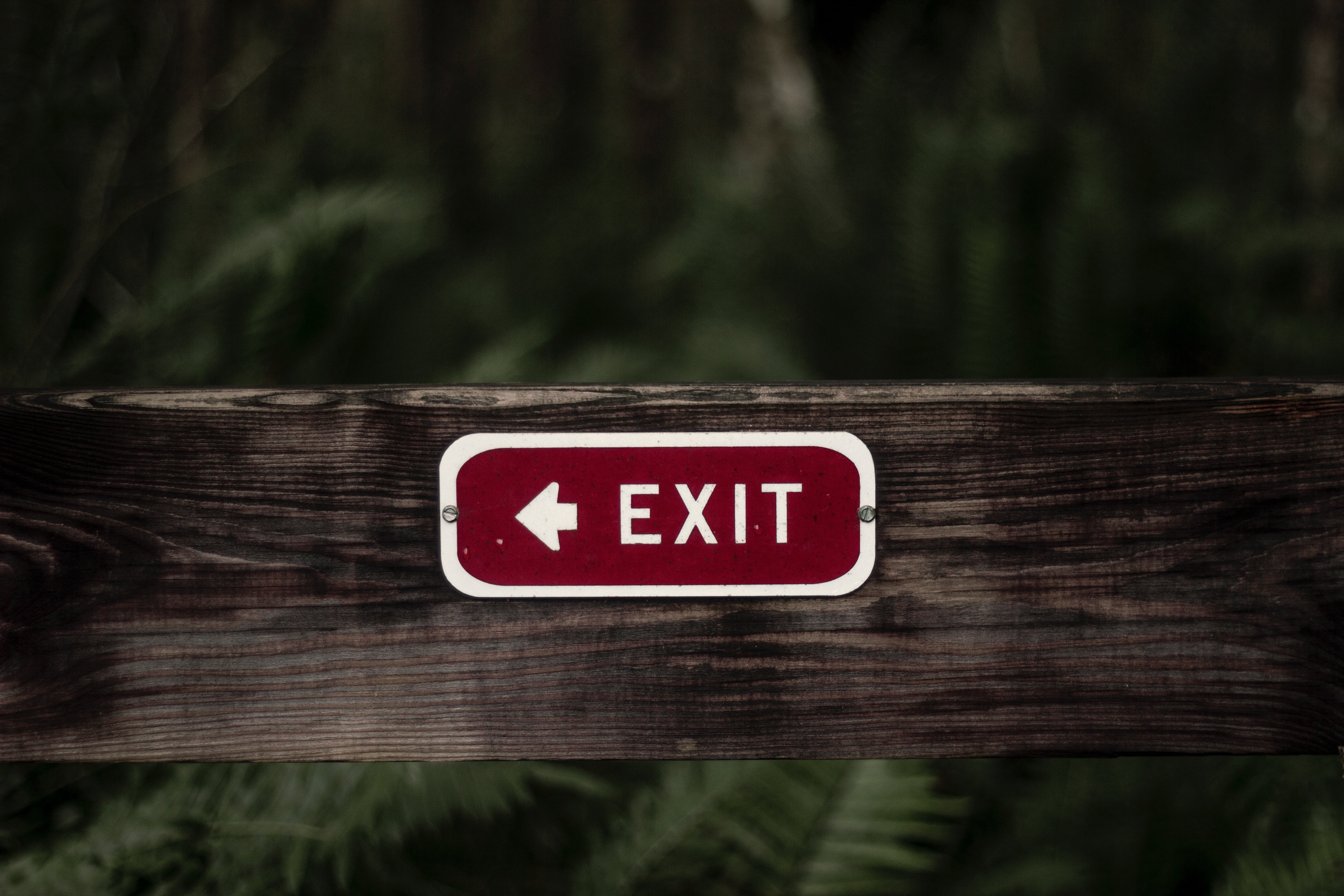 inscription, western script, 5K, guidance, focus on foreground, information sign, no people, pointer, forest, communication, red, close-up, warning sign, HD Wallpaper