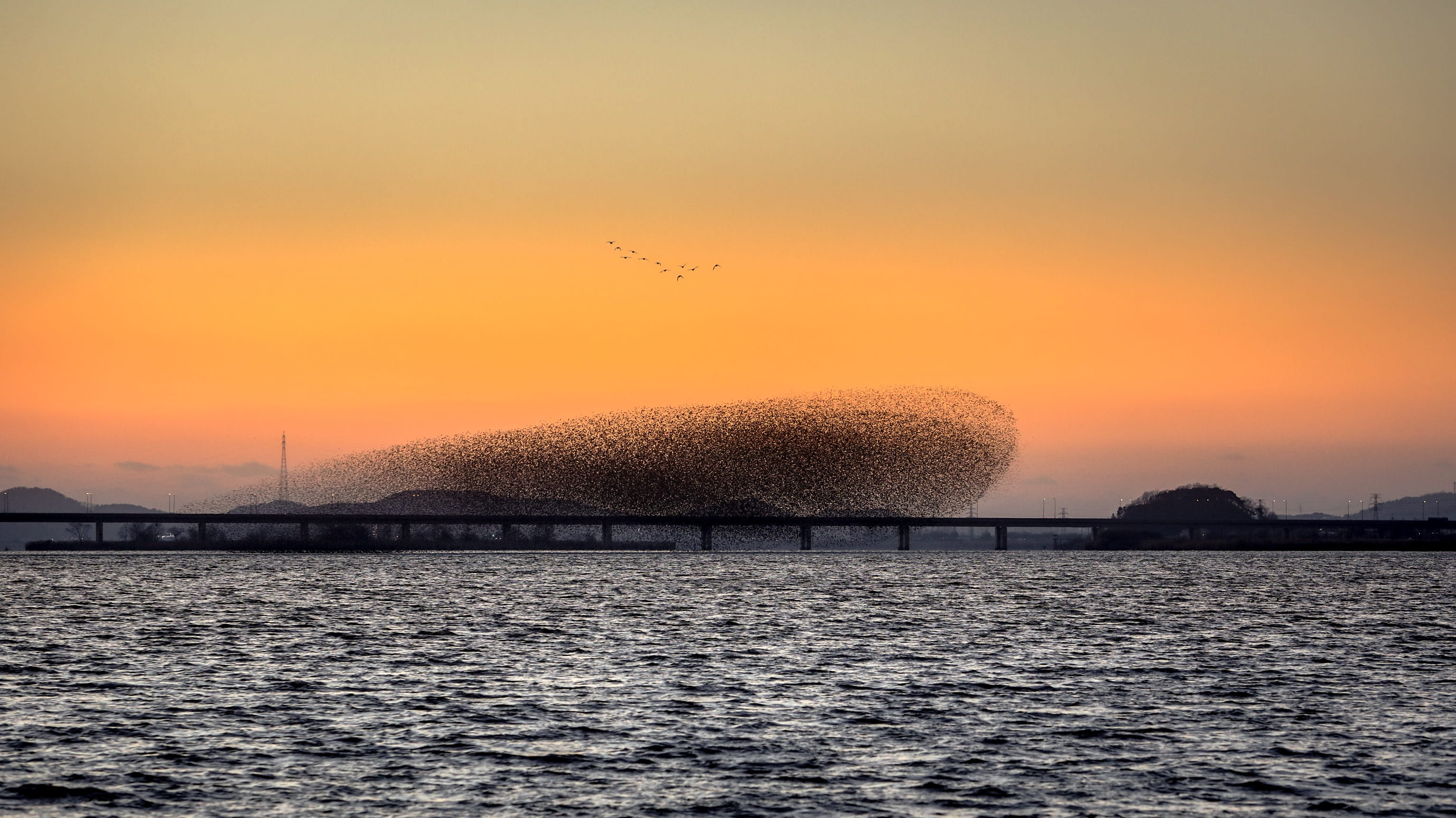 group of animals, flock of birds, new, water, the window, animal themes, vertebrate, cloud - sky, the military, sun, nature, sky, beauty in nature, outdoors, HD Wallpaper