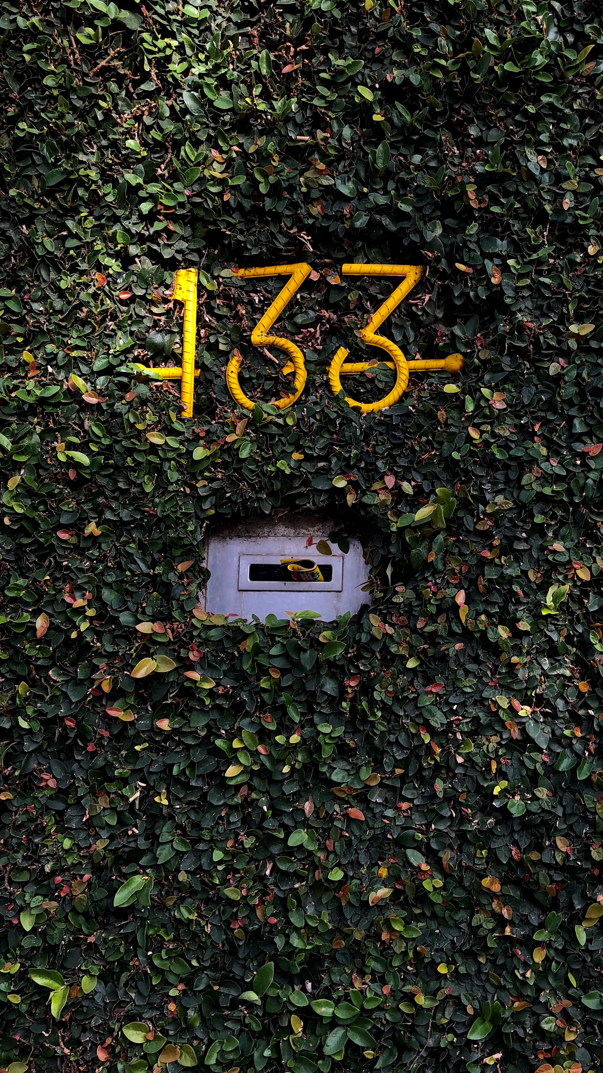communication, field, daytime, slot, capital letter, leaf, western script, mail, letter, house, no people, day, message, outdoors, text, nature, yellow, Phone HD Wallpaper