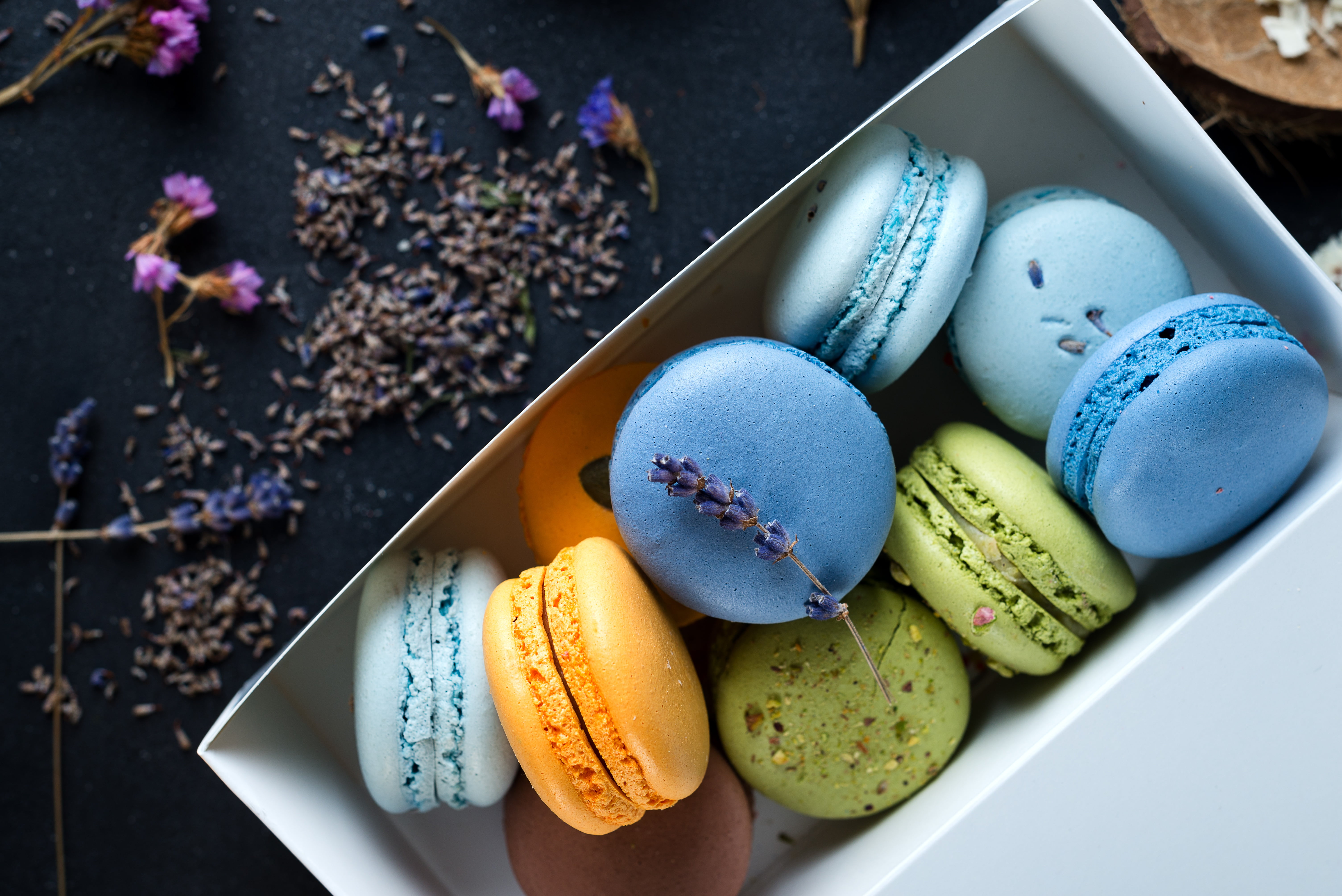 Macaron, Sweets, 5K, Food, Still Life, HD Wallpaper