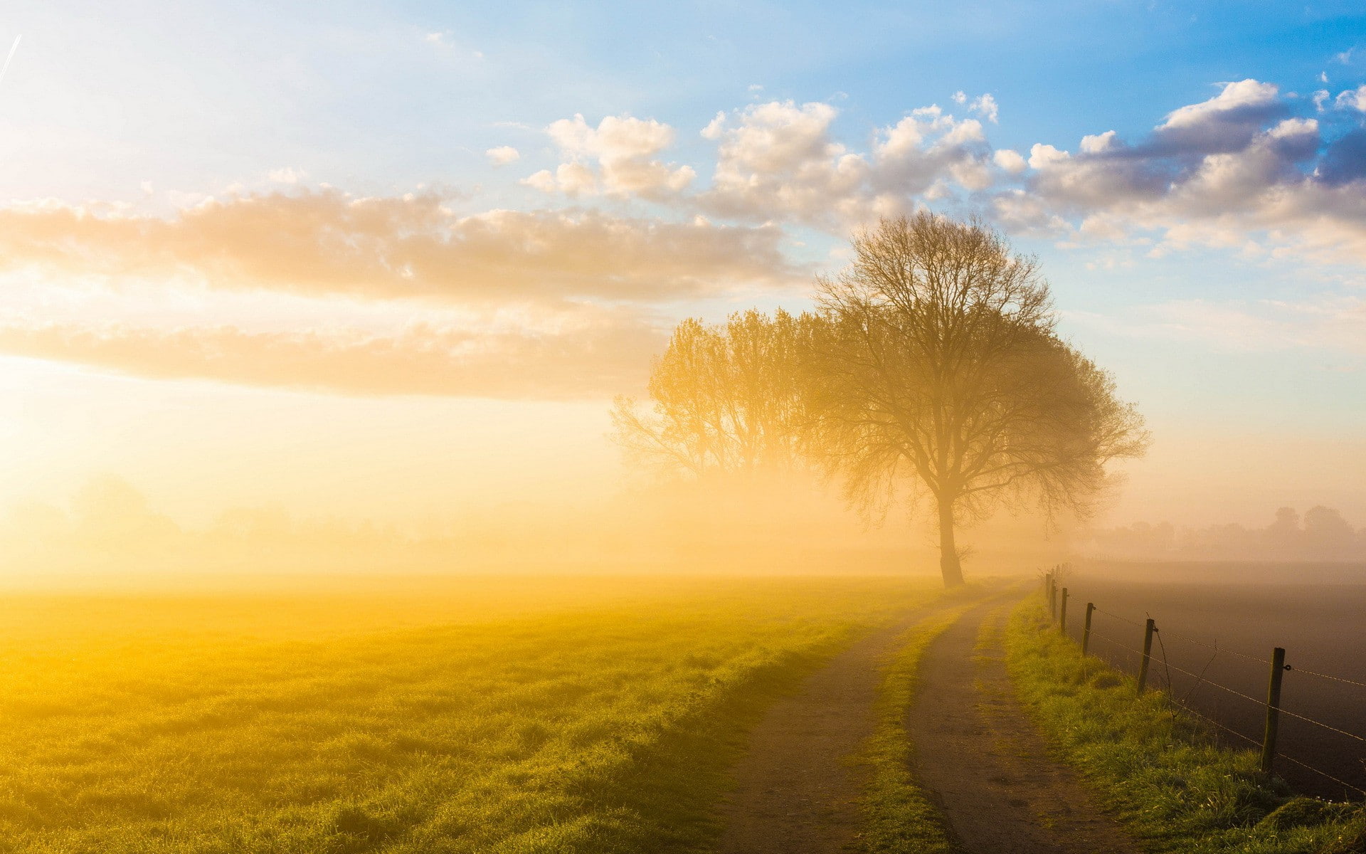 Nature, follow, 1080P, road, landscape, sun, Follow the sun, HD Wallpaper
