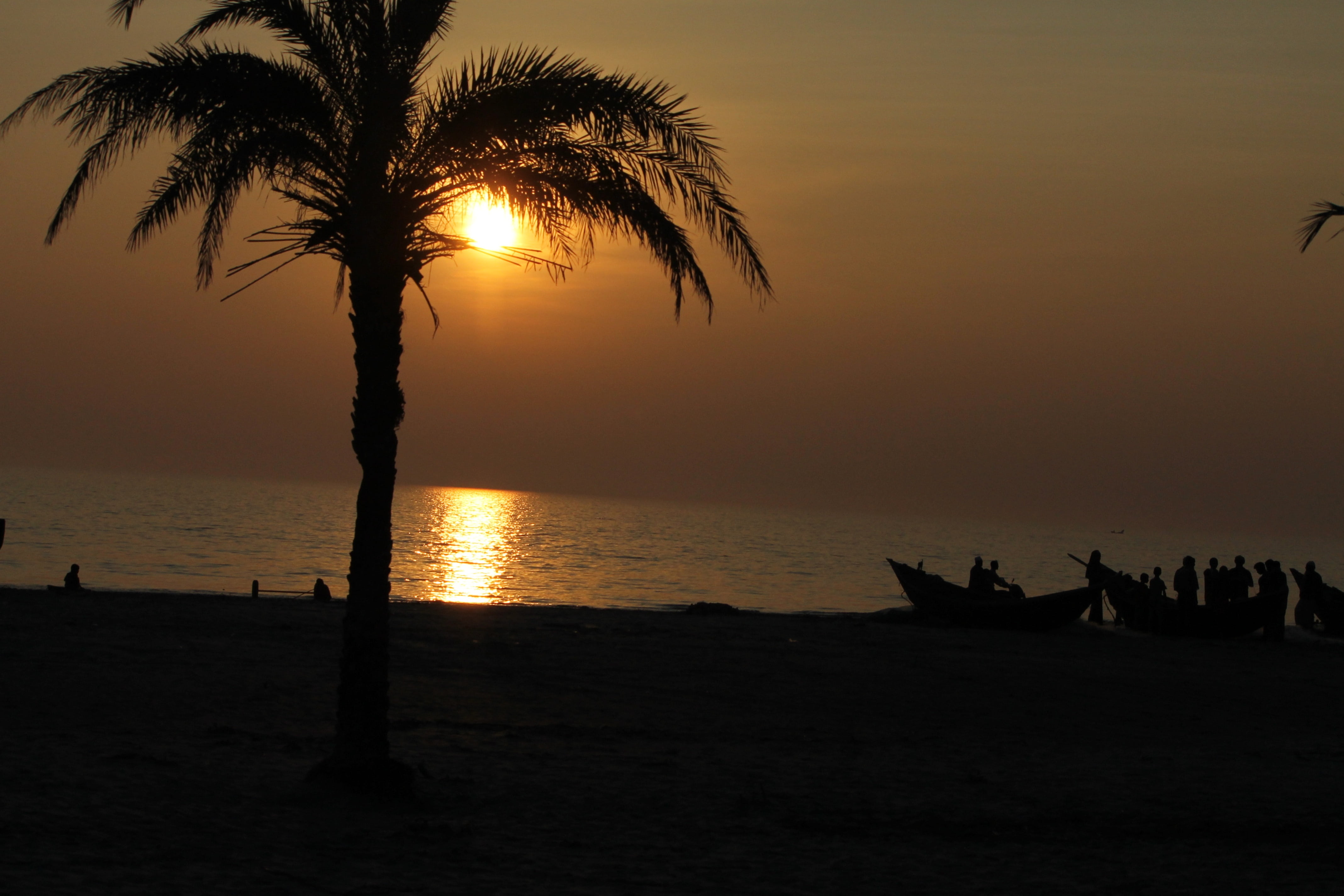 sky, land, sunset, nautical vessel, palm tree, transportation, tropical climate, scenics - nature, 4K, bangladesh, beauty in nature, orange color, kuakata, HD Wallpaper