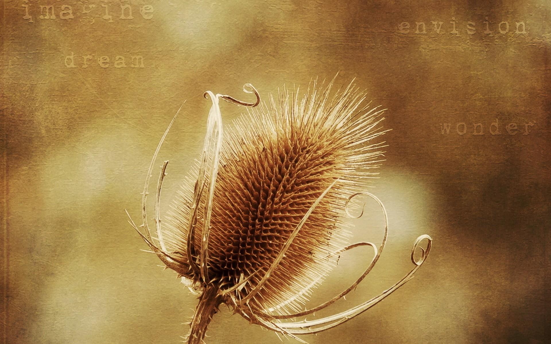 dream, imagine, wonder, 3d and abstract, 1080P, HD Wallpaper