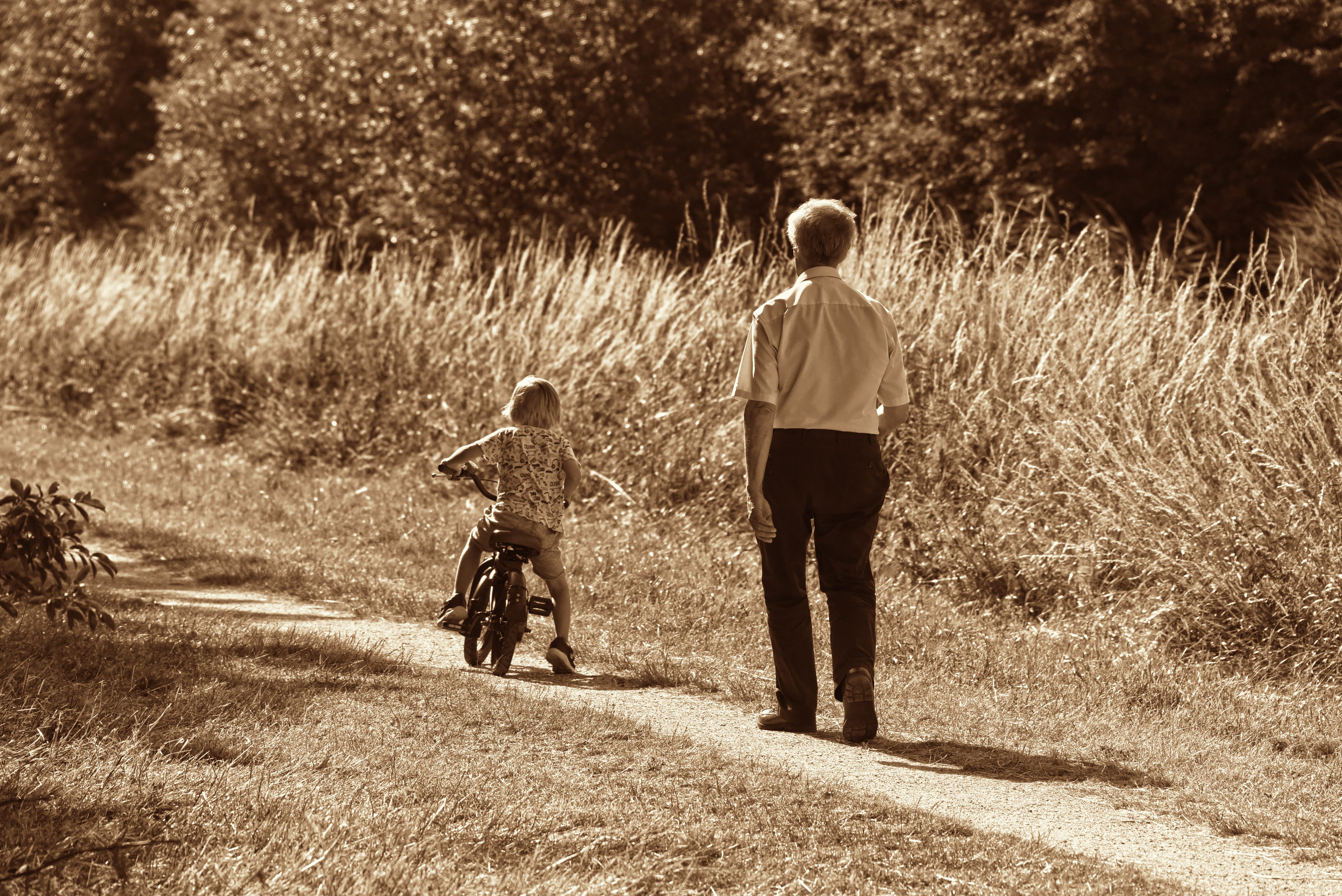father, riding, tending, 5K, men, child, son, lifestyles, bonding, back, girl, leisure activity, together, outdoors, positive emotion, footpath, grandchild, HD Wallpaper