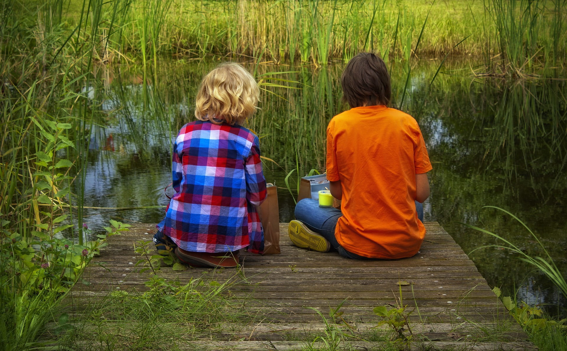 brown, nature, hairstyle, friendship, wooden, men, 1080P, dock, green, water, grasses, rear view, grass, sit, smile, park, togetherness, leisure activity, HD Wallpaper