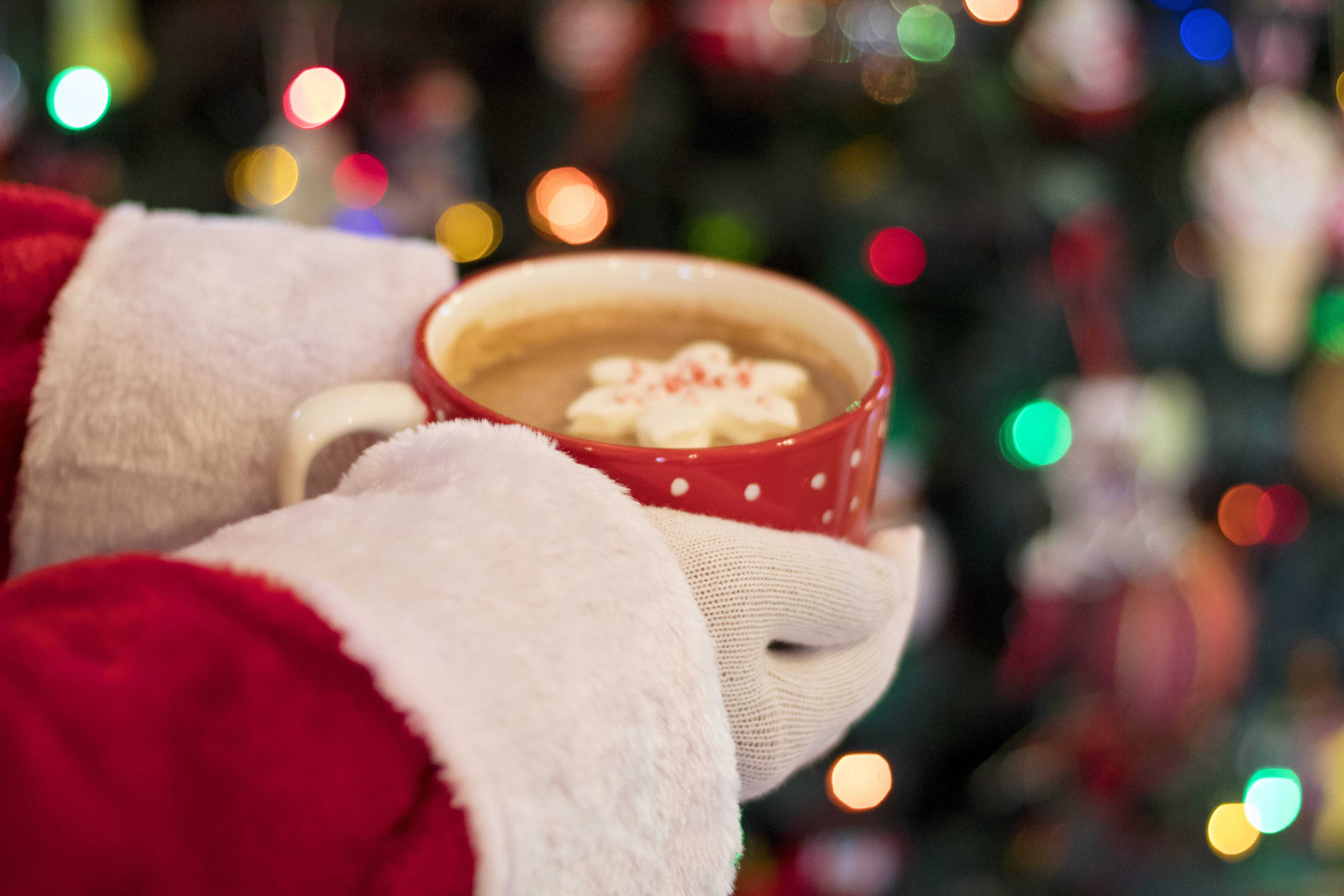 indoors, focus on foreground, plant, holiday - event, christmas tree, cup, beverage, close-up, seasonal, celebration, holding, illuminated, food, snack, HD Wallpaper