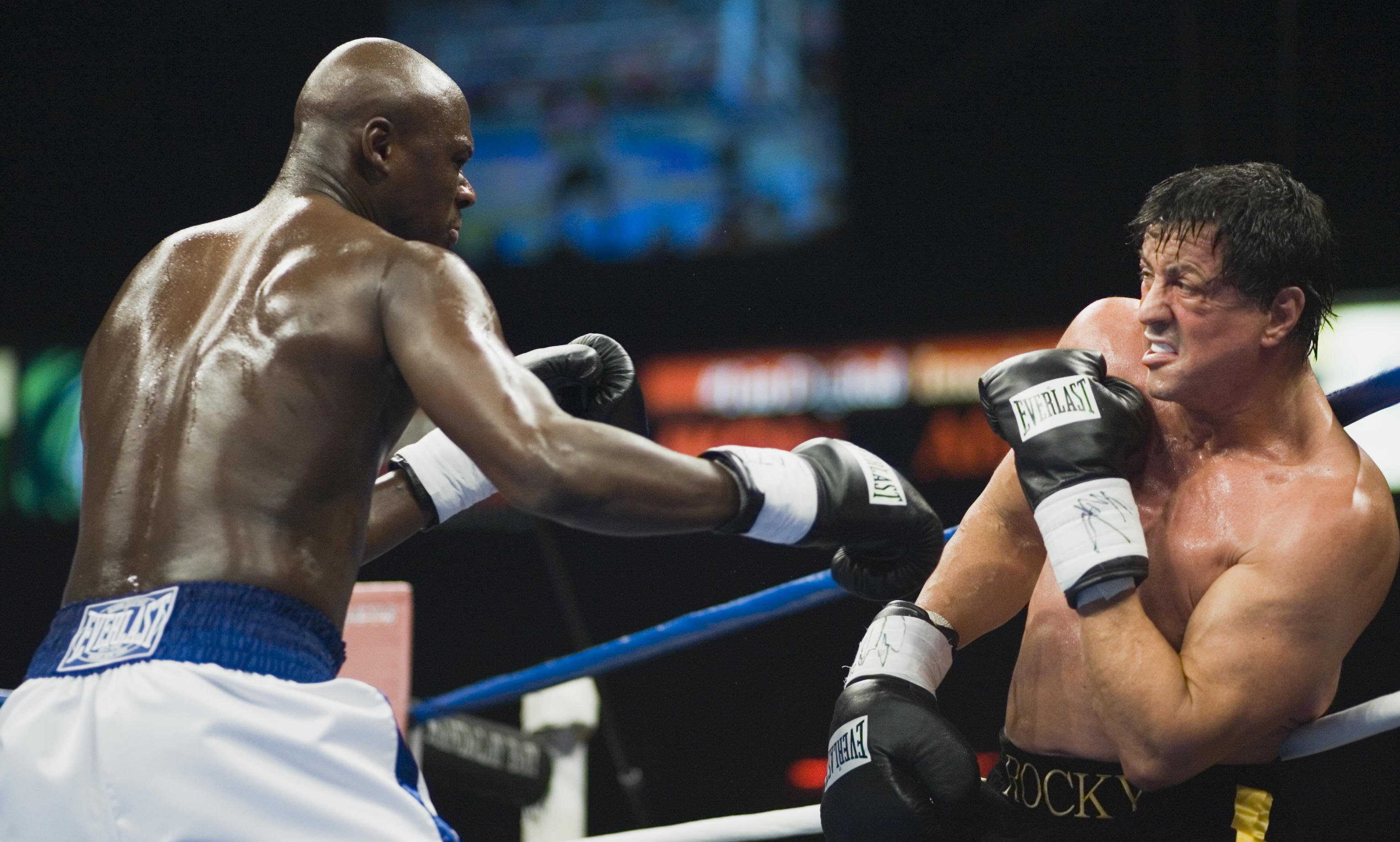 sylvester, 2K, rocky, movies, 019, stallone, (2), HD Wallpaper