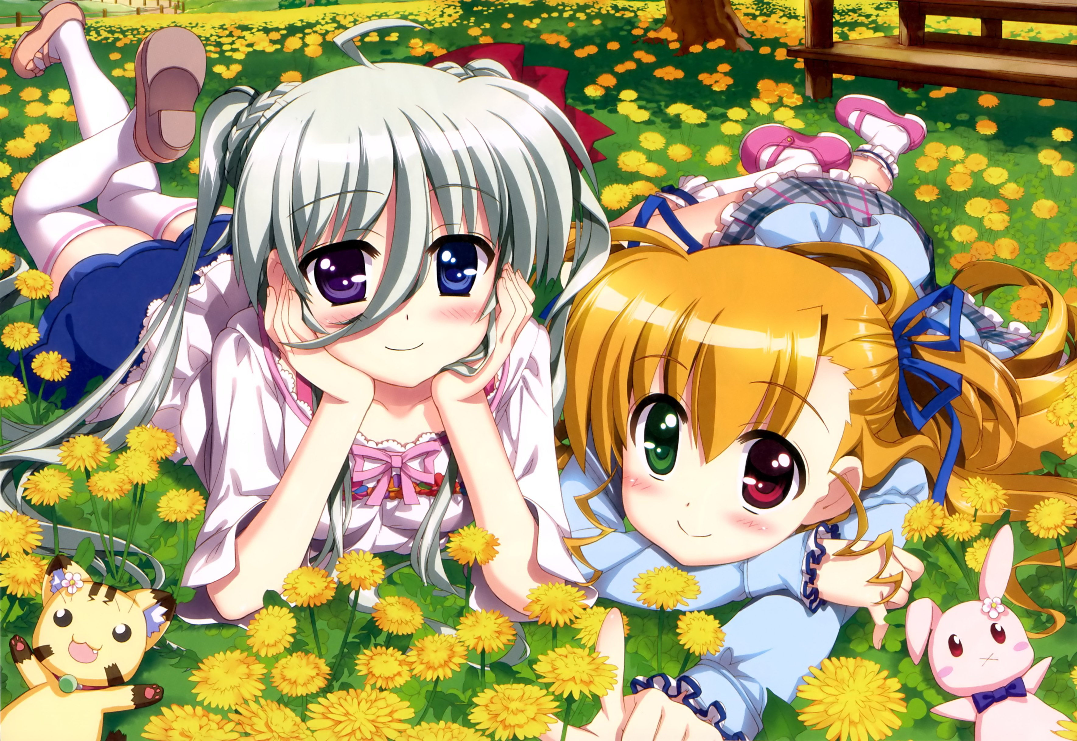 stomach, einhart, stratos, vivio, lyrical, vivid, takamachi, mahou, 2K, shoujo, nanoha, HD Wallpaper