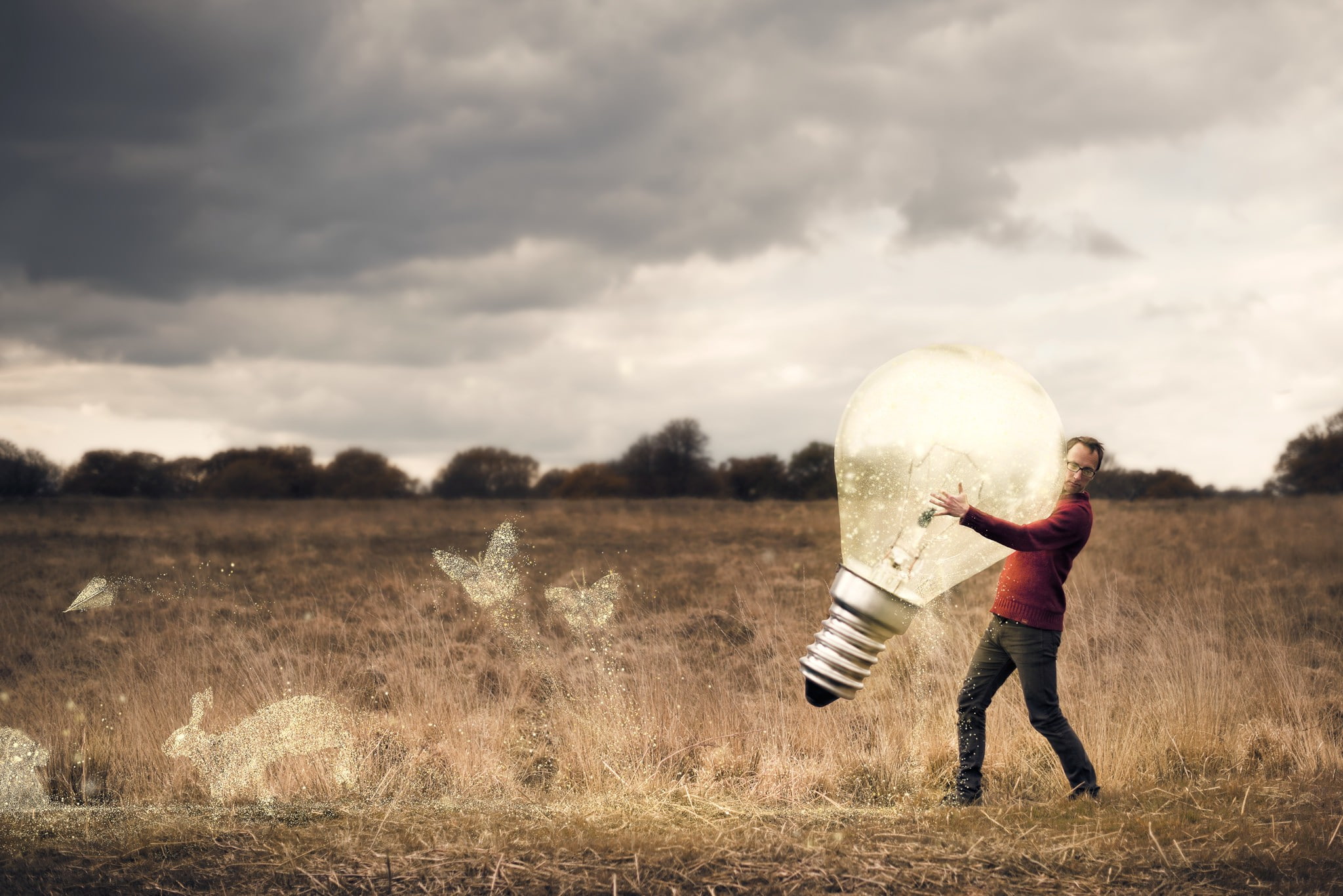real people, men, nature, holding, plant, arms raised, rear view, lifestyles, human arm, grass, one person, digital art, 1080P, lightbulb, day, sky, cloud - sky, HD Wallpaper