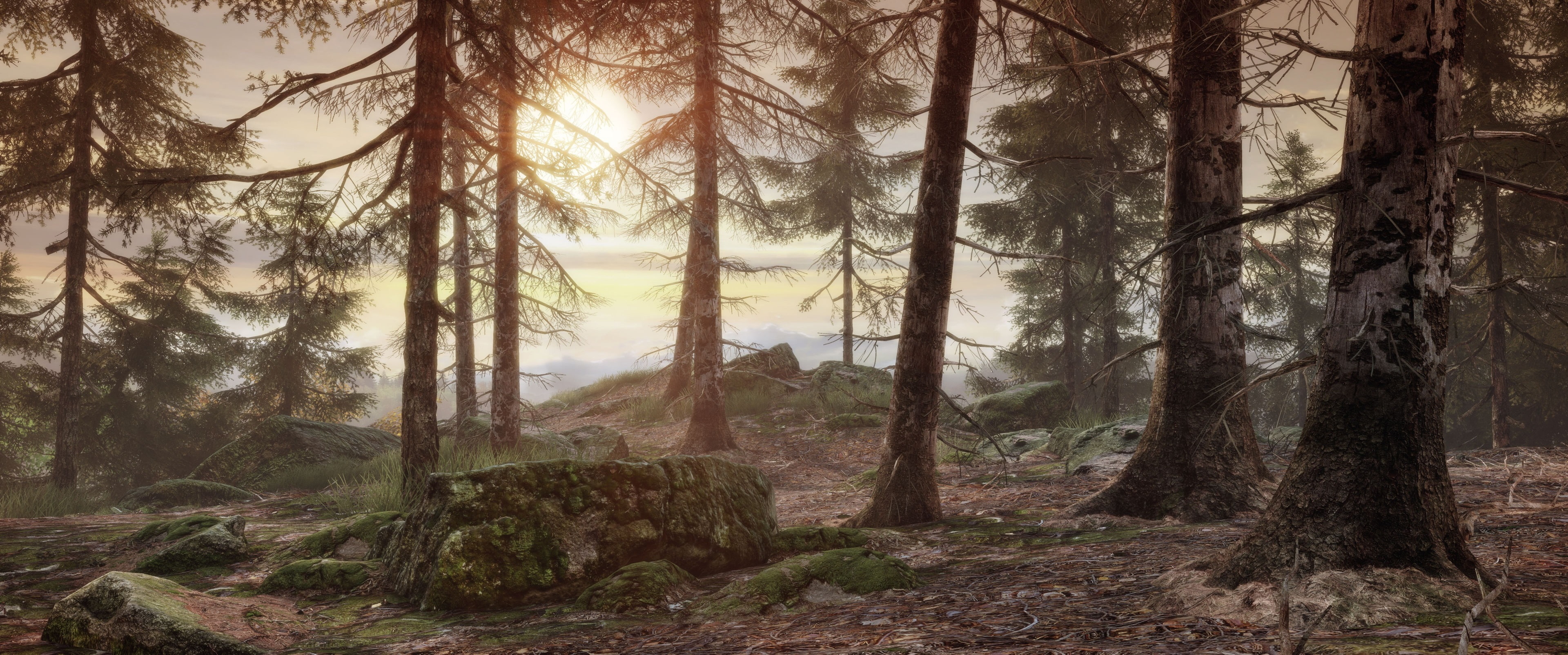 forest, woodland, pine tree, beauty in nature, plant, scenics - nature, land, nature, outdoors, tree, syberia 3 4k best picture ever, tranquility, 4K, HD Wallpaper
