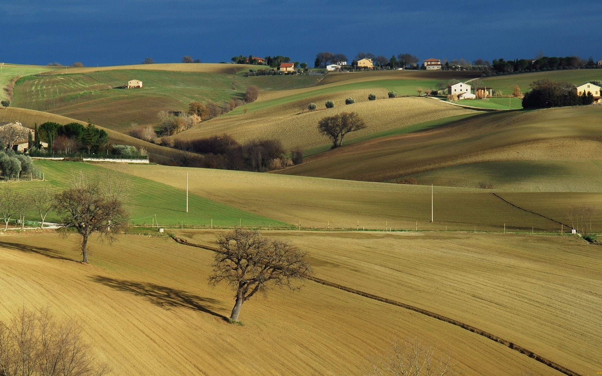 field, farm, tranquil scene, beauty in nature, outdoors, agriculture, landscape, nature, environment, land, sky, scenics - nature, tree, hd full  nature inspired 1920x1200, HD Wallpaper