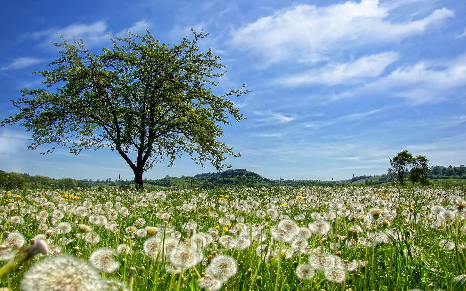 hd full  nature inspired 1920x1200, 1080P, HD Wallpaper
