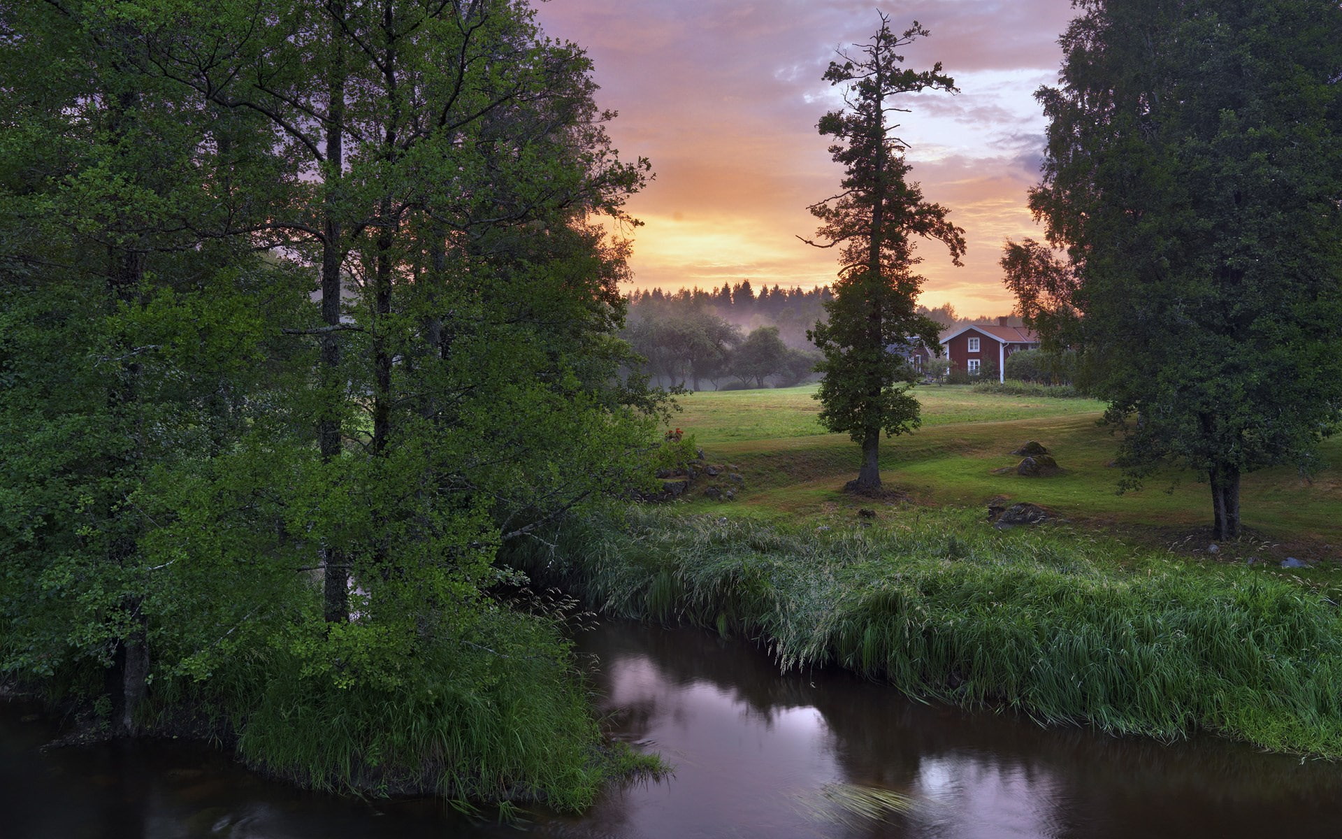 1080P, hd full  nature inspired 1920x1200, HD Wallpaper