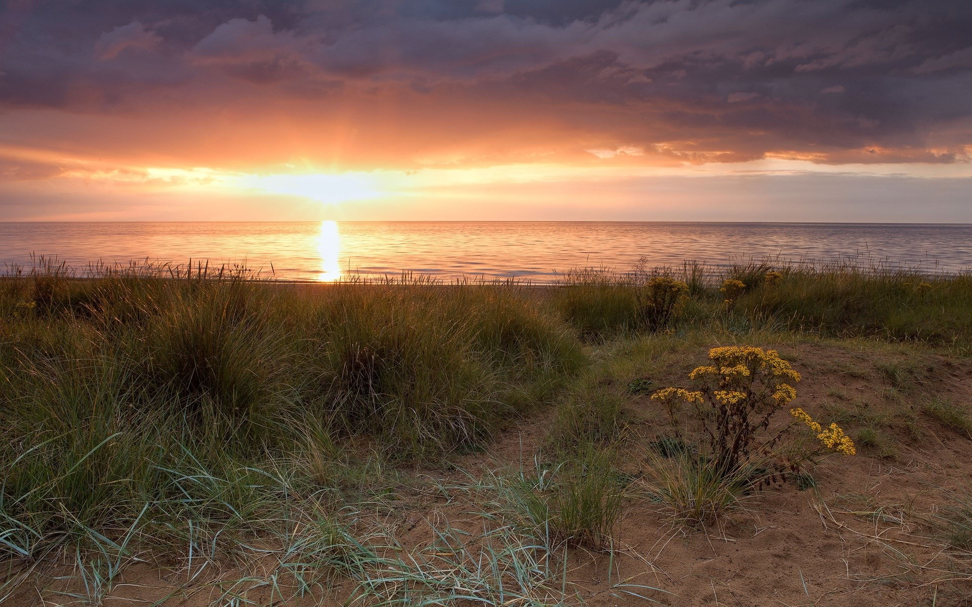 1080P, hd full  nature inspired 1920x1200, HD Wallpaper