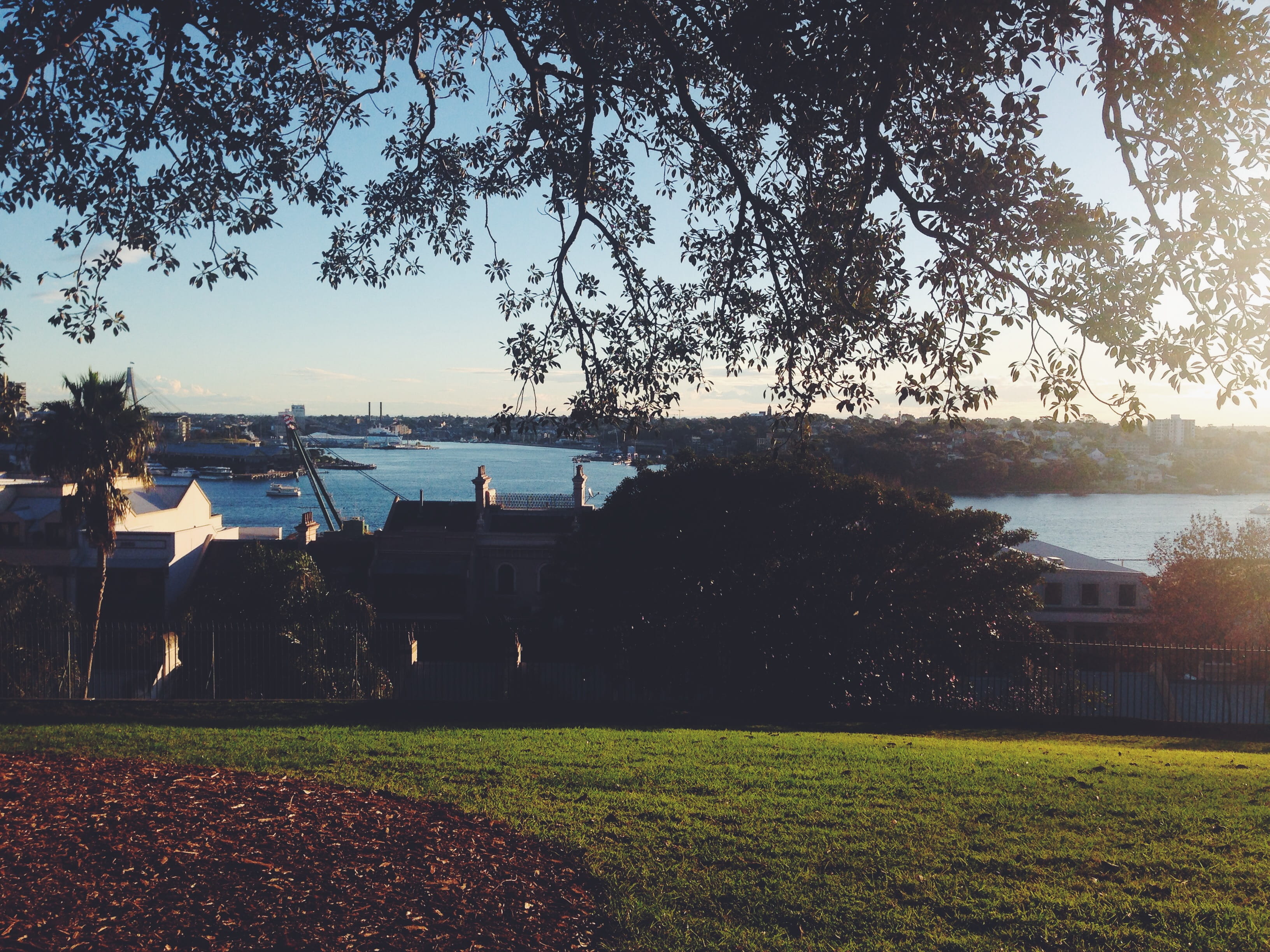 therocks, park, plant, horizon, day, australia, tranquility, real people, beauty in nature, scenics - nature, city, sunlight, millers point, grass, river, HD Wallpaper
