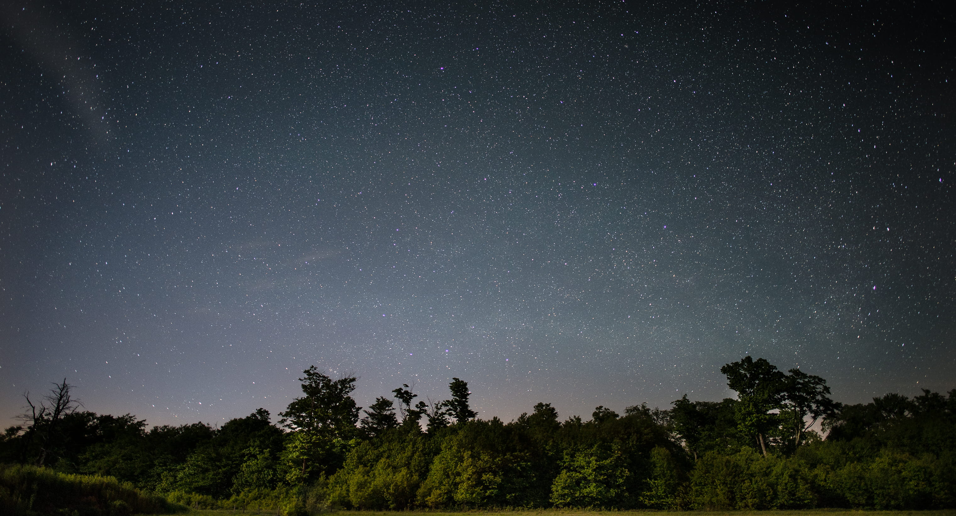star, no people, horizon, trees, idyllic, low angle view, growth, space and astronomy, plant, 2K, night sky, outdoors, photo, night, green, non-urban scene, HD Wallpaper