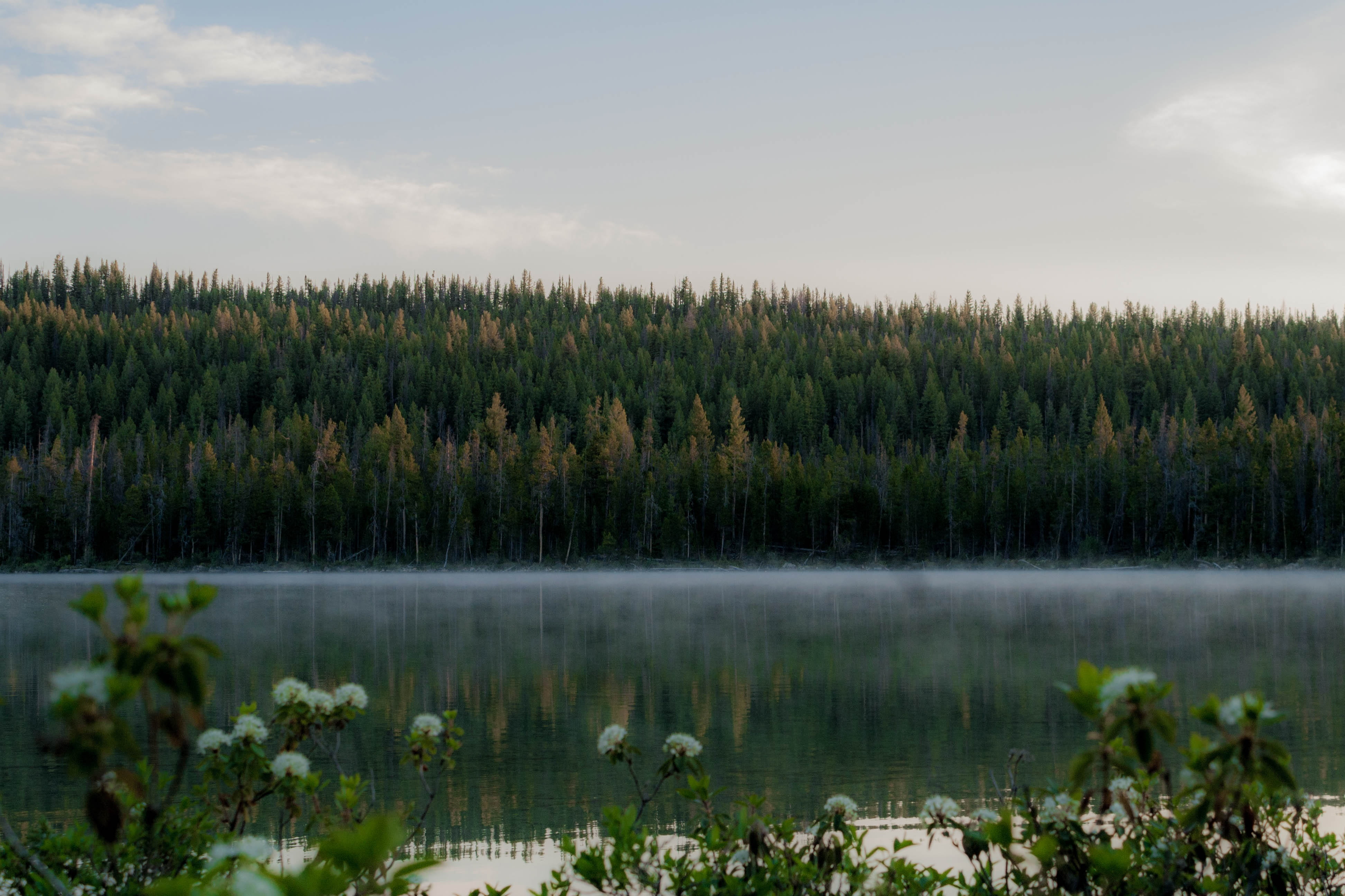 trees, water, life, fitness, centered, reflection, landscape, clouds, growth, elements, achieve, scenics - nature, green color, accomplish, green, valley, HD Wallpaper