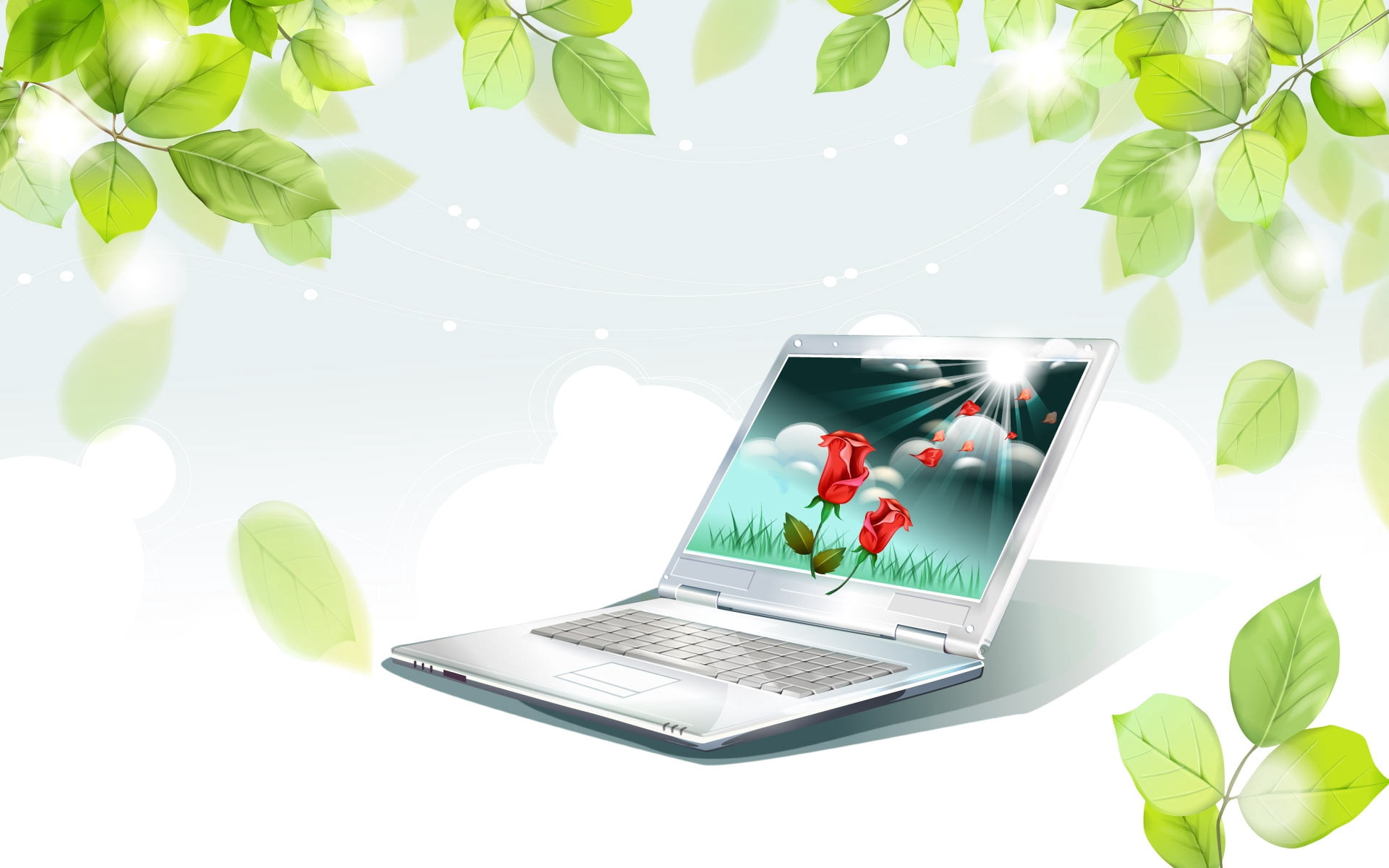 indoors, backgrounds, technology, plant part, green color, business, computer Keyboard, sky, internet, computer, no people, flower, mobility, growth, connection, HD Wallpaper