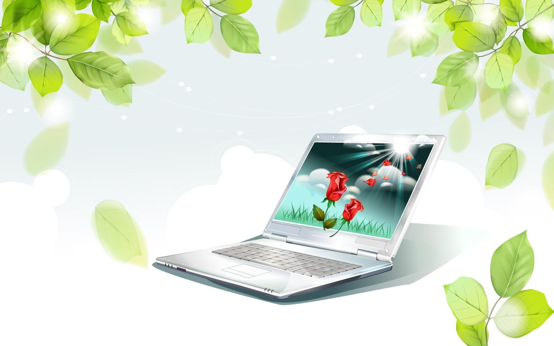 computer, sunlight, communication, plant, Netbook, laptop, plant part, wireless technology, no people, Leavis, growth, leaves, table, 1080P, day, connection, HD Wallpaper