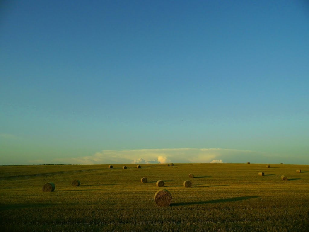 land, wooden, rural scene, plant, field, copy space, agriculture, Poland, brown, farm, blue, bed, bale, 480P, beauty in nature, scenics - nature, sky, HD Wallpaper