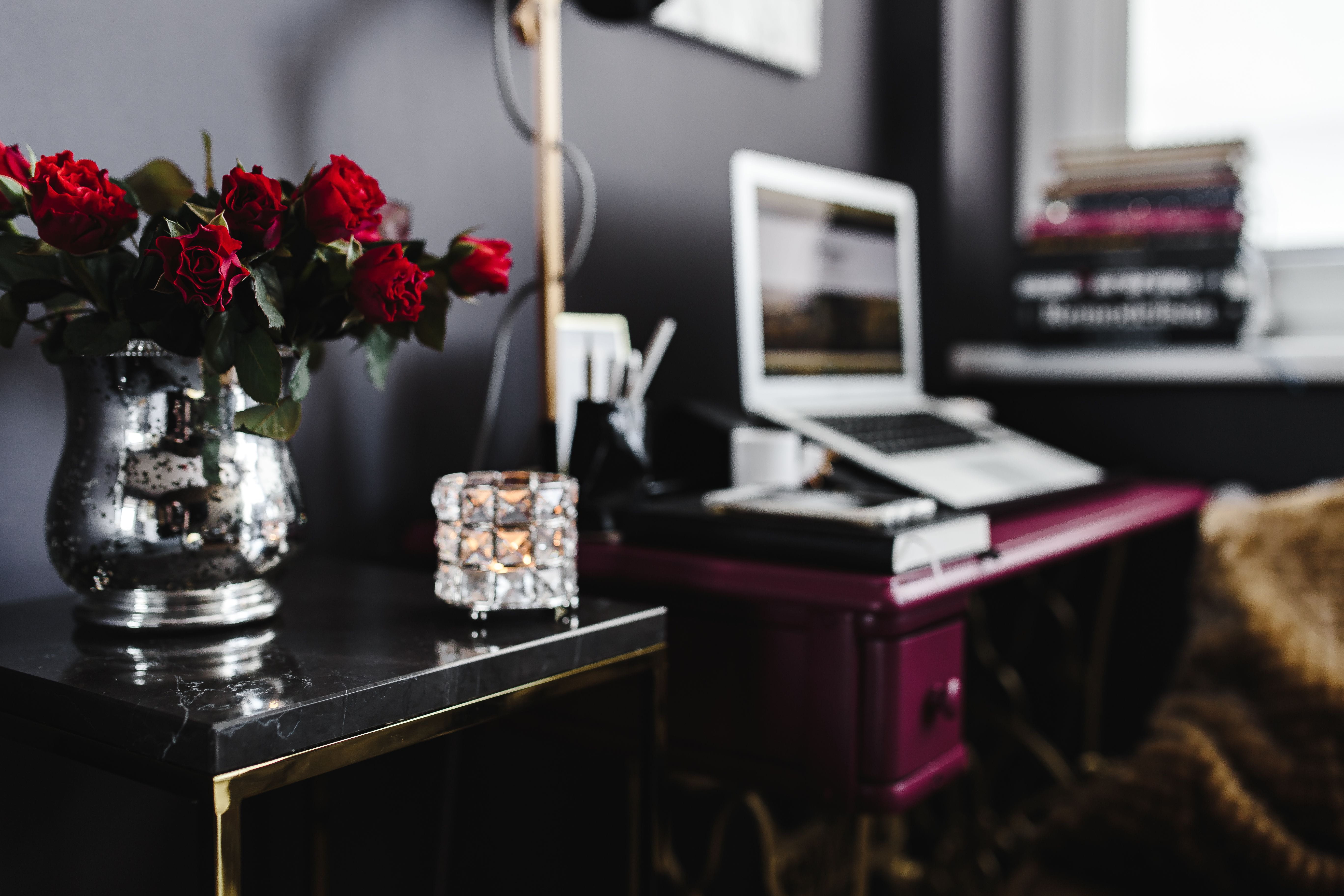 plant, communication, office, wroking, wireless technology, desk, technology, home office, decor, Pink, indoor, table, business, domestic Room, decoration, HD Wallpaper