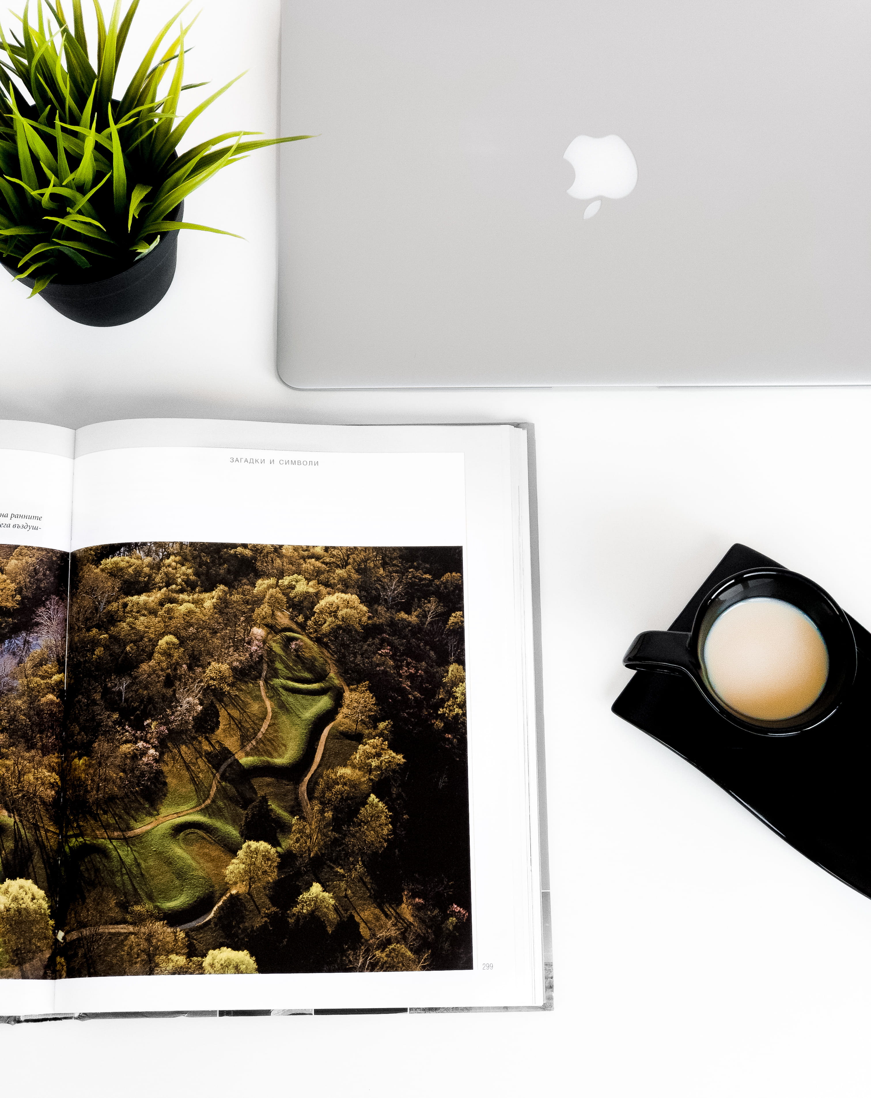 apple, freshness, poster, vegetation, directly above, macbook, growth, collage, design, nature, work, blossom, 2K, high angle view, wellbeing, advertisement, Phone HD Wallpaper