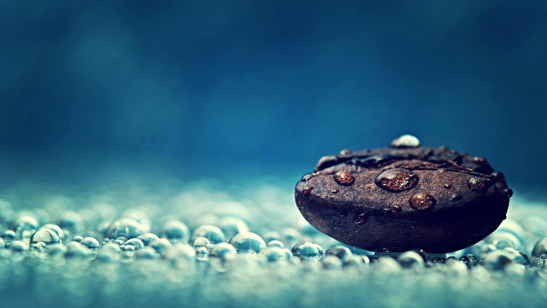 coffee, 1080P, drops, coffee bean, bean, HD Wallpaper