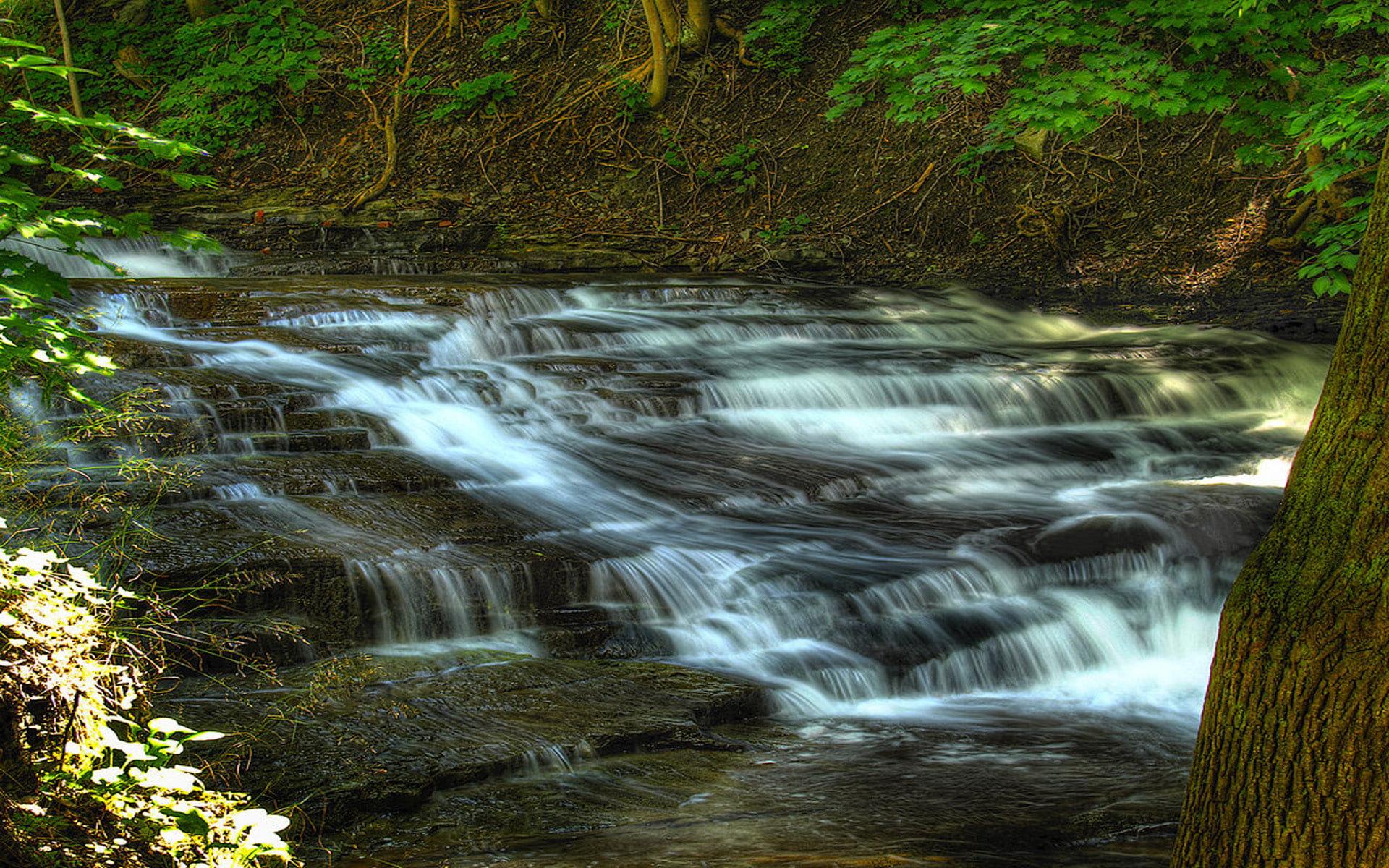 states, york, desktop, united, gorge, campus, new, end, cascadilla, cornell, hd, university, 1080P, south, ithaca, HD Wallpaper