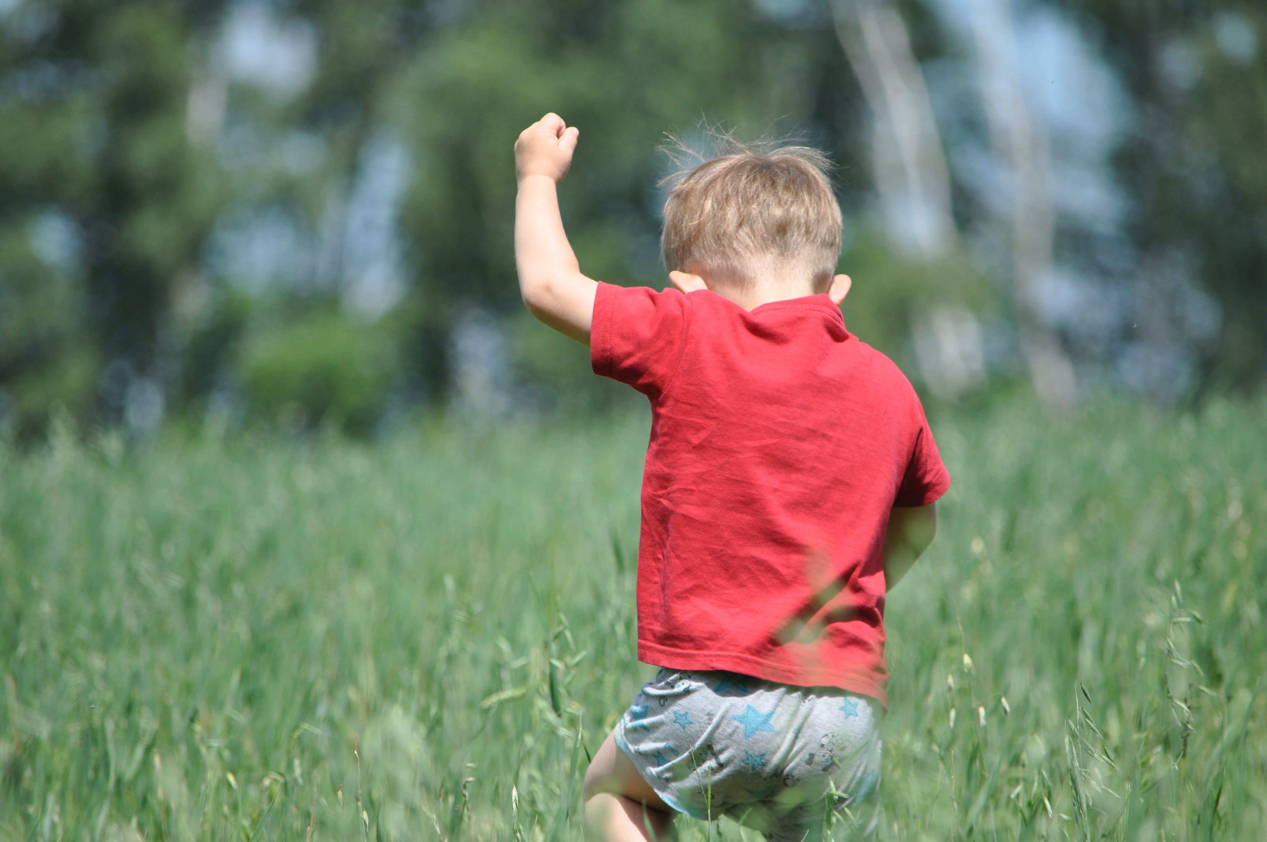 rear view, flower, caucasian Ethnicity, nature, human arm, europe, child, mountain, childhood, travel, outdoors, landscape, offspring, green, running, play, HD Wallpaper