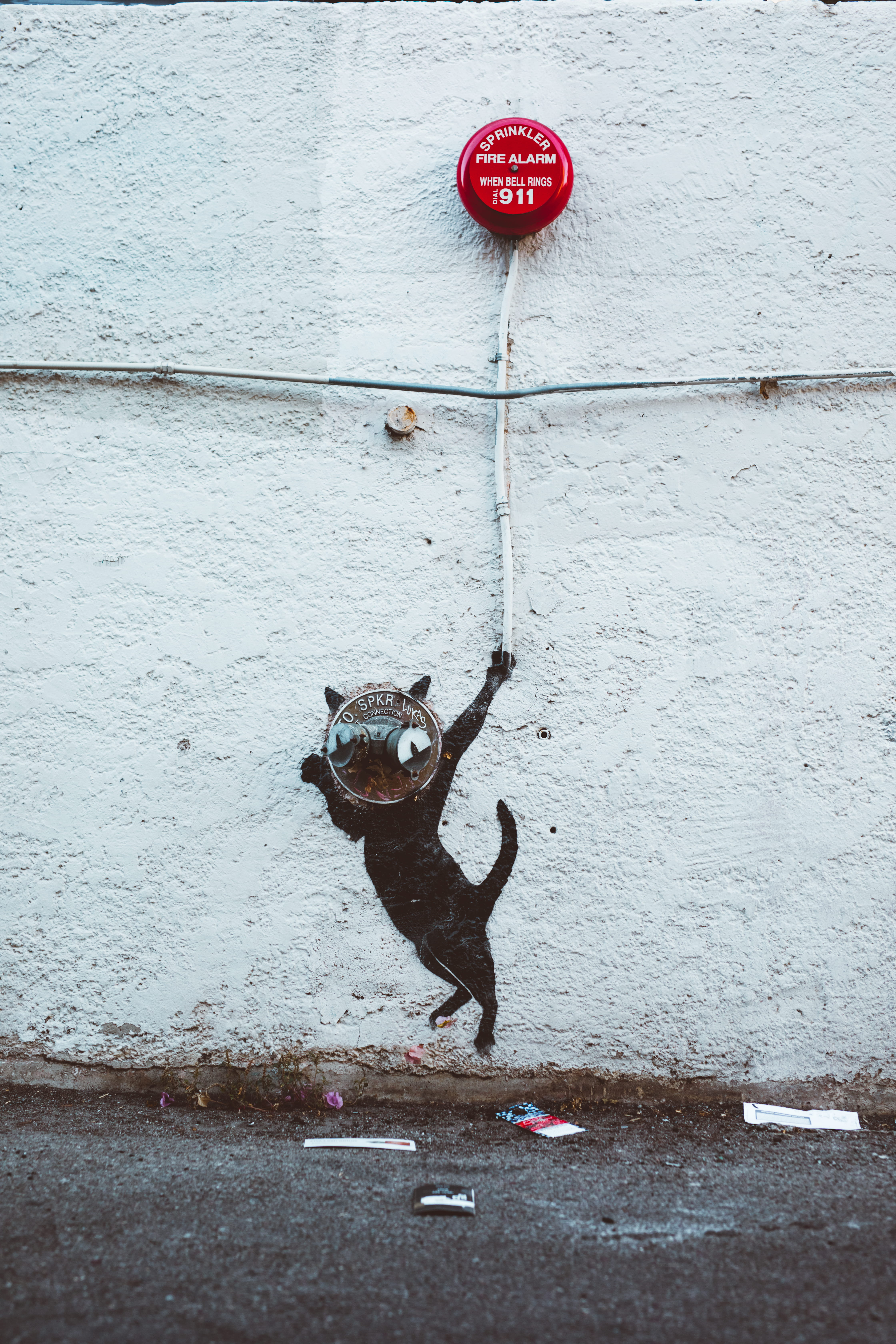 trash, pun art, los angeles, creative, wall, cultures, fire alarm, weho, street photography, art, outdoors, alarm, liter, cartoon, street, animal, fire, Phone HD Wallpaper
