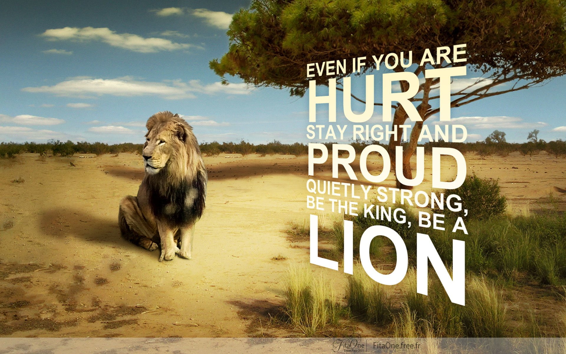 brown, lion, overlay, Misc, Quote, 1080P, text, HD Wallpaper