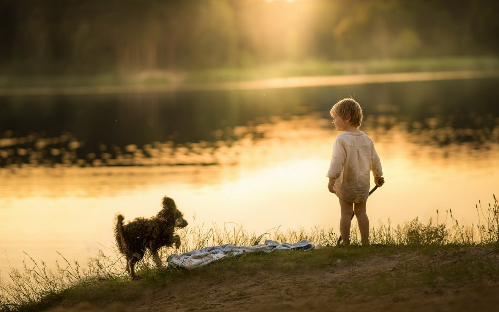720P, lights, children, sunset, dog, summer, HD Wallpaper