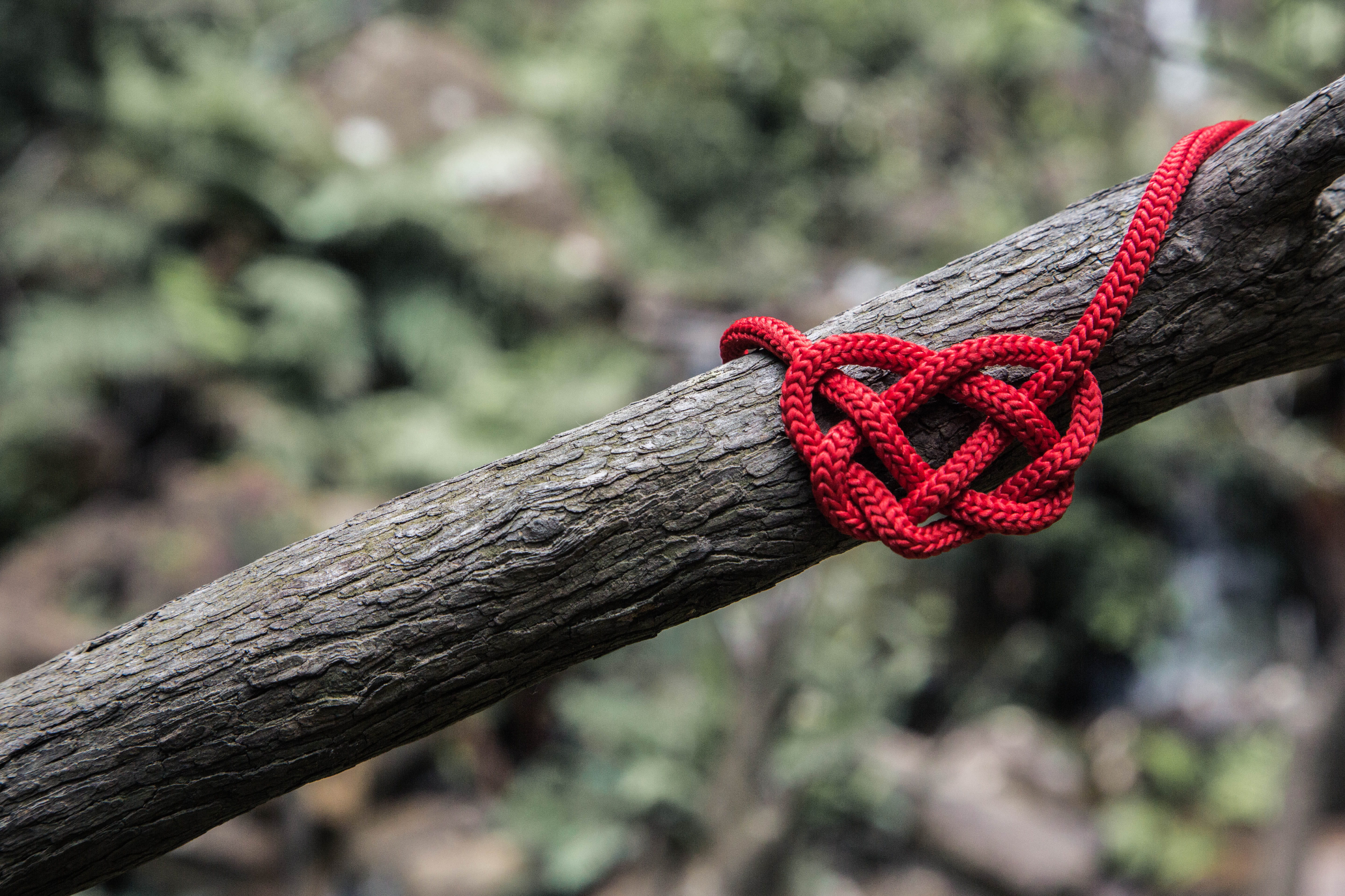 rope, nature, no people, branch, chain, focus on foreground, outdoors, knot, wood - material, red, plant, tied up, tree trunk, tree, personal accessory, HD Wallpaper