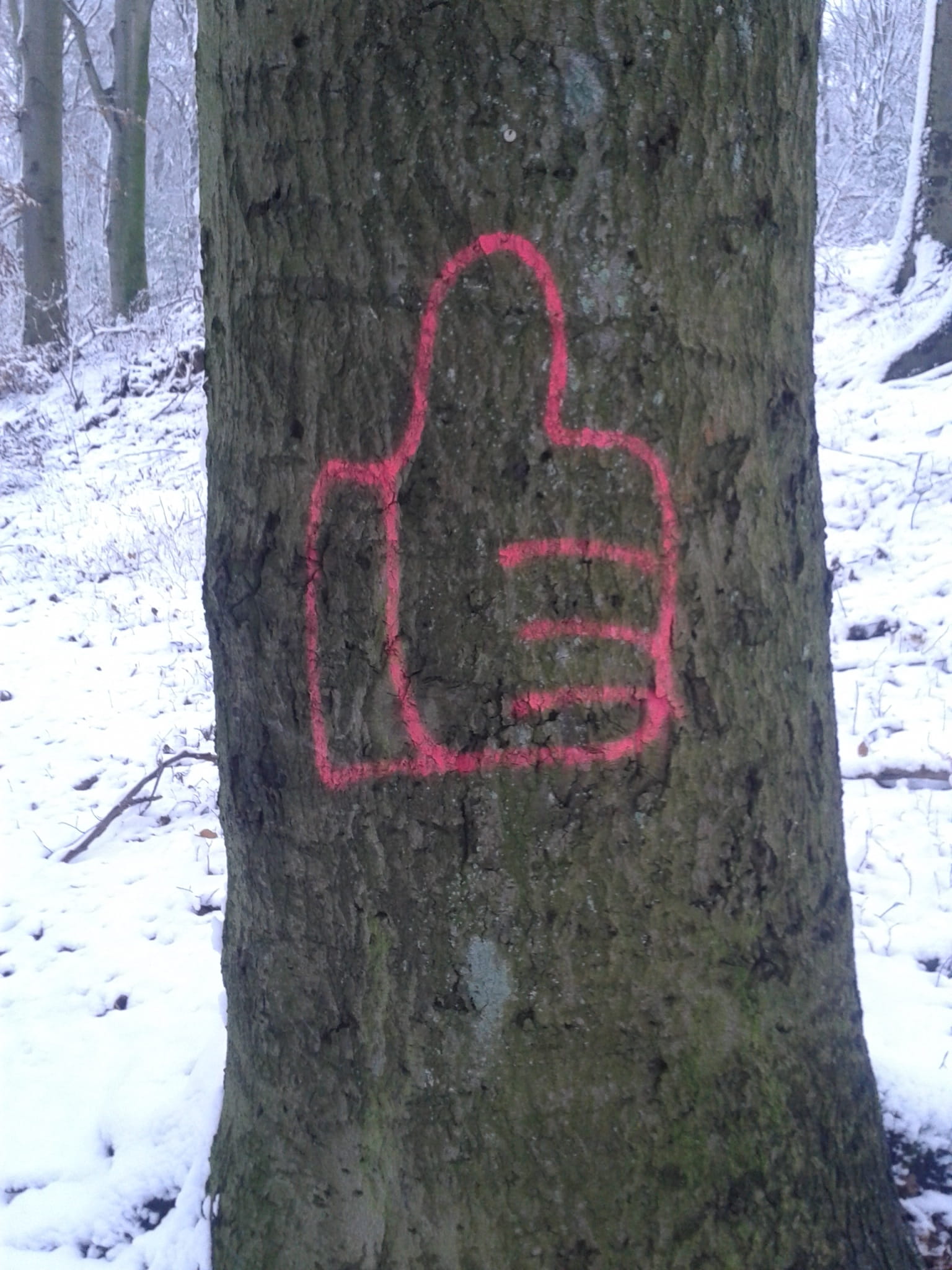 logo, successful, text, away, communication, winter, trunk, tree, Directory, service, facebook, no people, 1080P, motivation, target, Thumb, message, success, Phone HD Wallpaper