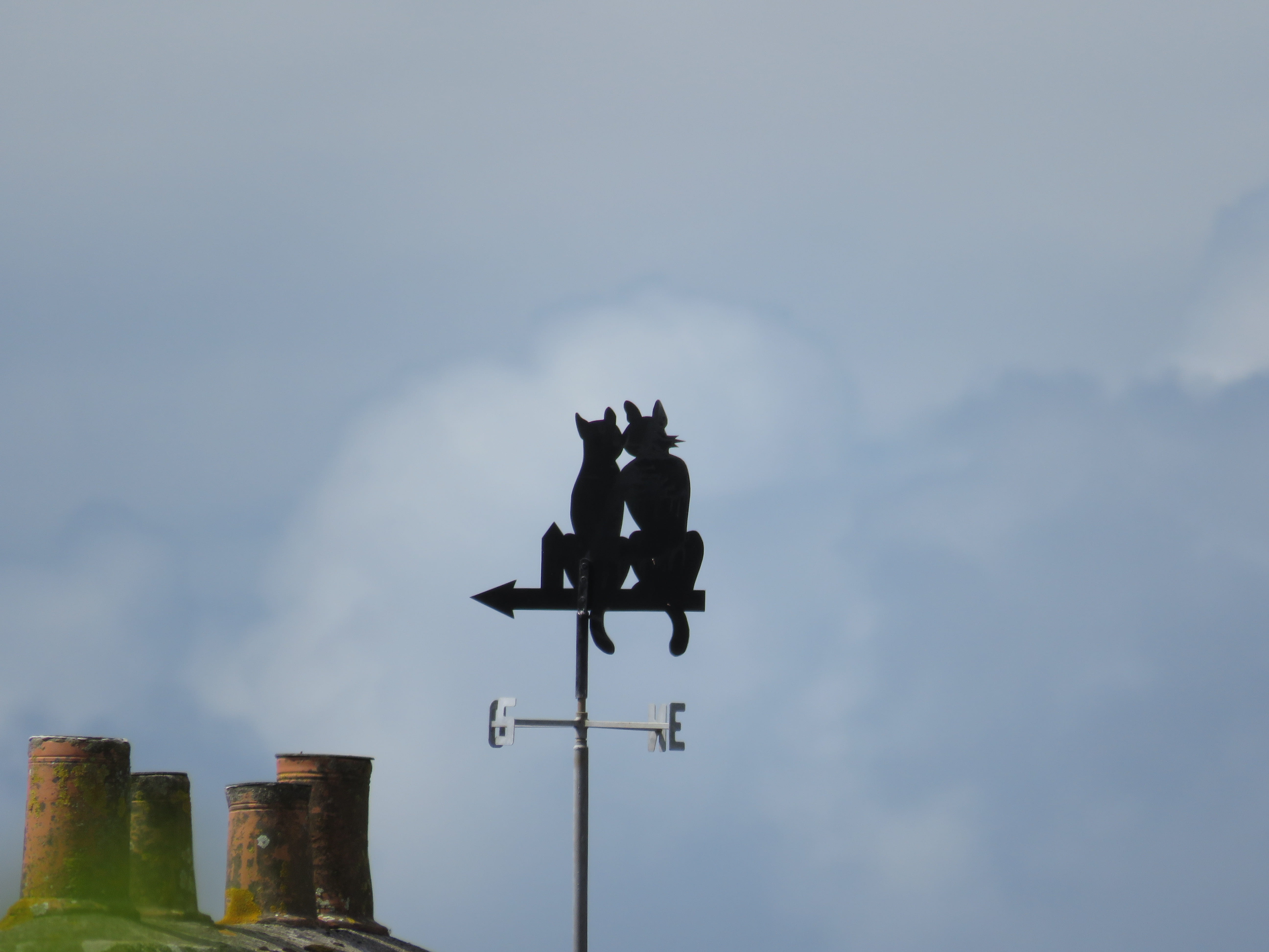 representation, sign, day, animal, animal representation, cat, livestock, guidance, animal themes, sky, low angle view, architecture, 5K, direction, weather vane, HD Wallpaper