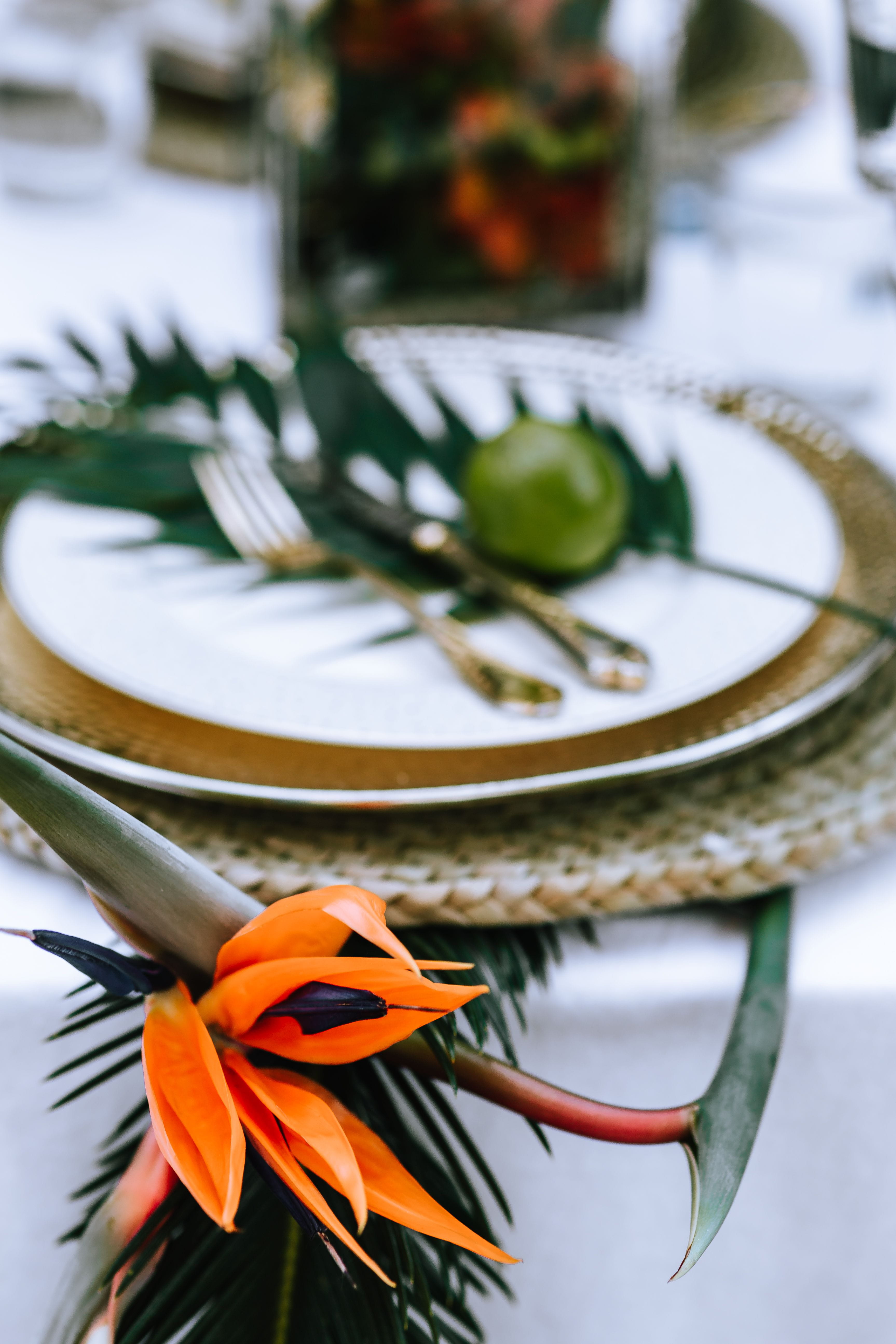 tropical, Colorful, leaf, vulnerability, flowering plant, selective focus, focus on foreground, table, leaves, meal, dining, dinner, setting, no People, Phone HD Wallpaper