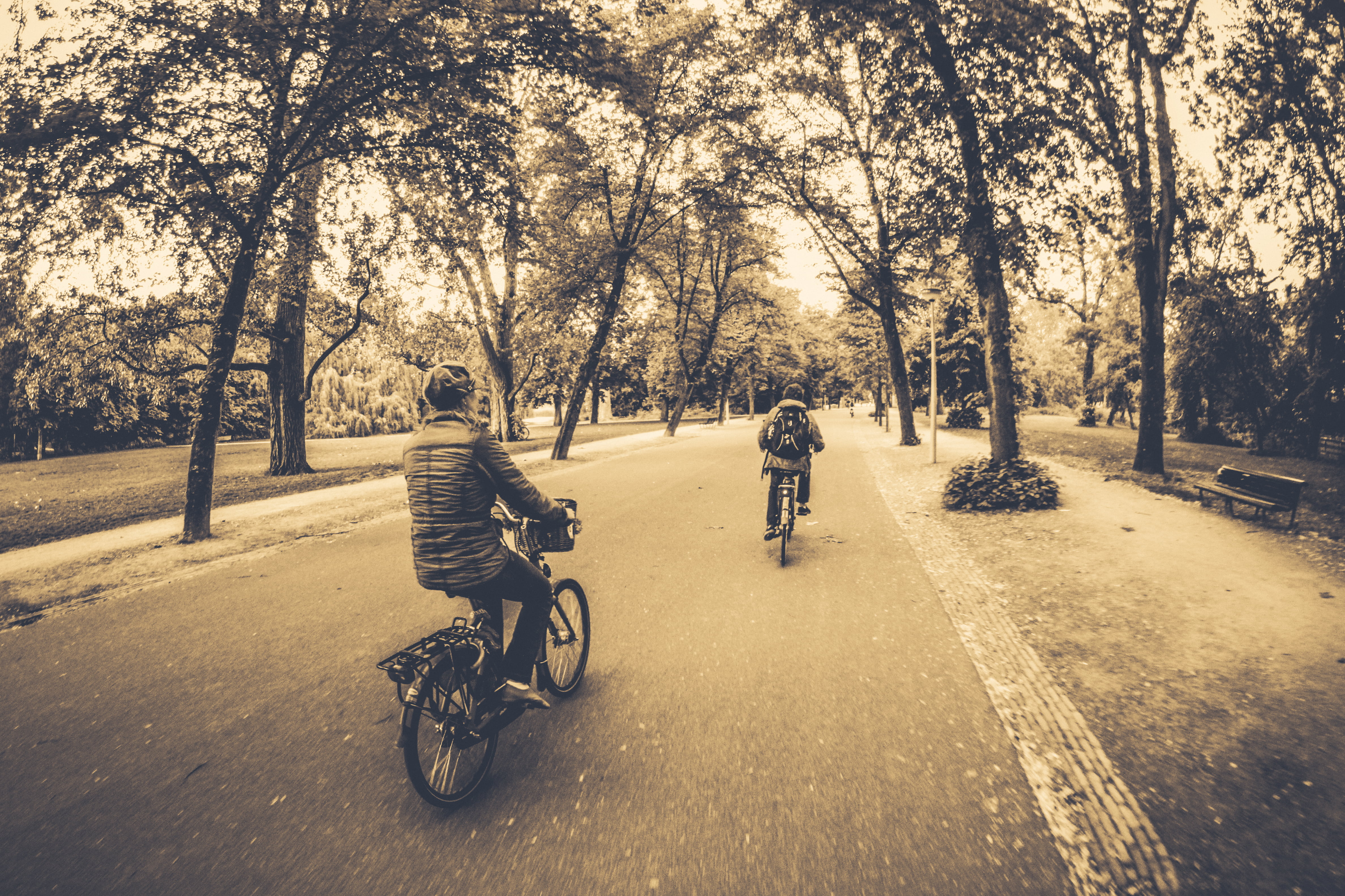 winter, vehicle, mode of transportation, ride, lifestyles, nature, full length, park, men, city, plant, shadow, trees, bike, group, bench, sepia, woods, HD Wallpaper
