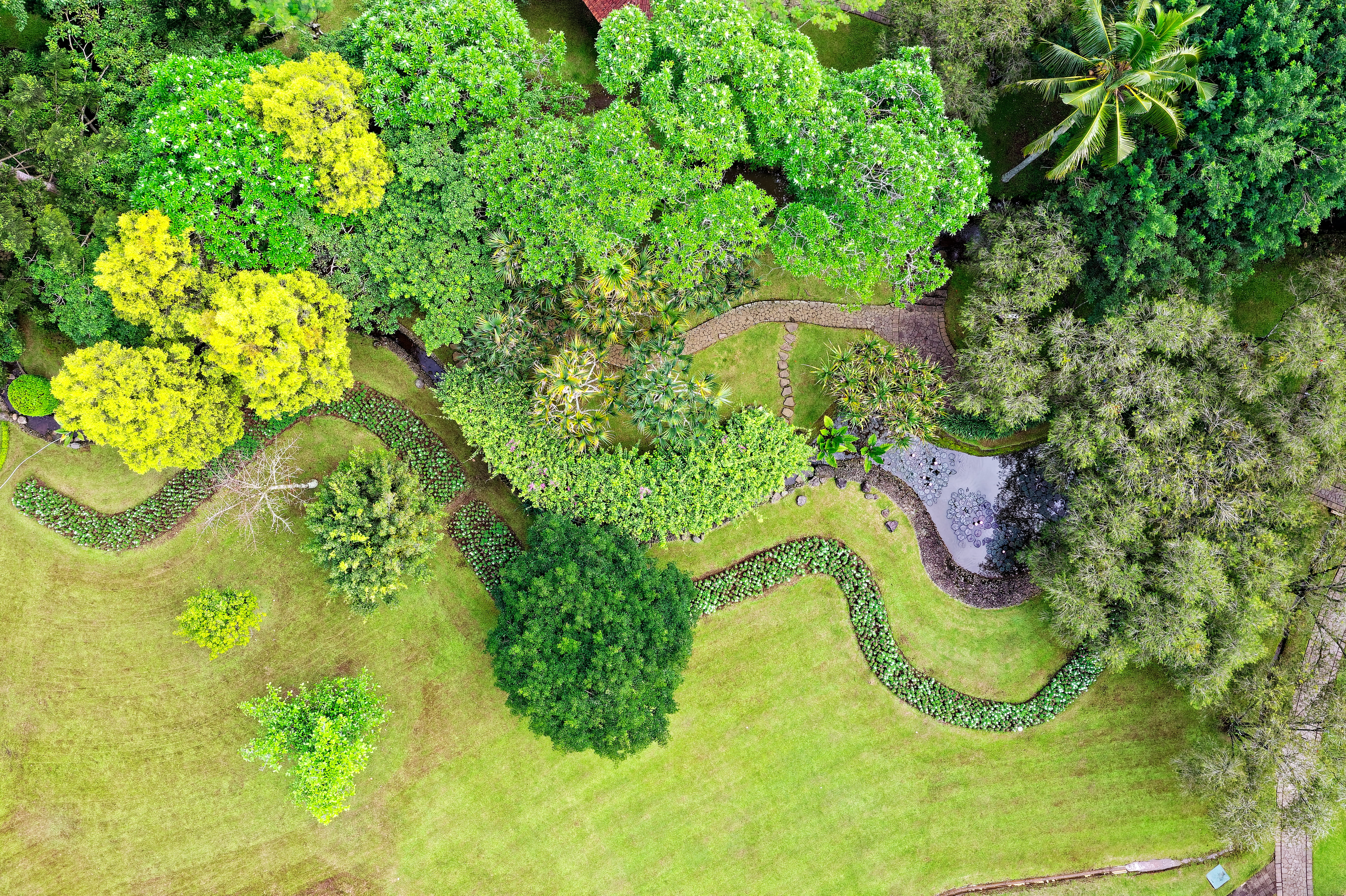 top, view, aerial photography, indonesia, aerial view, high angle view, garden, environment, mockup, birds eye view, day, beauty in nature, full frame, HD Wallpaper