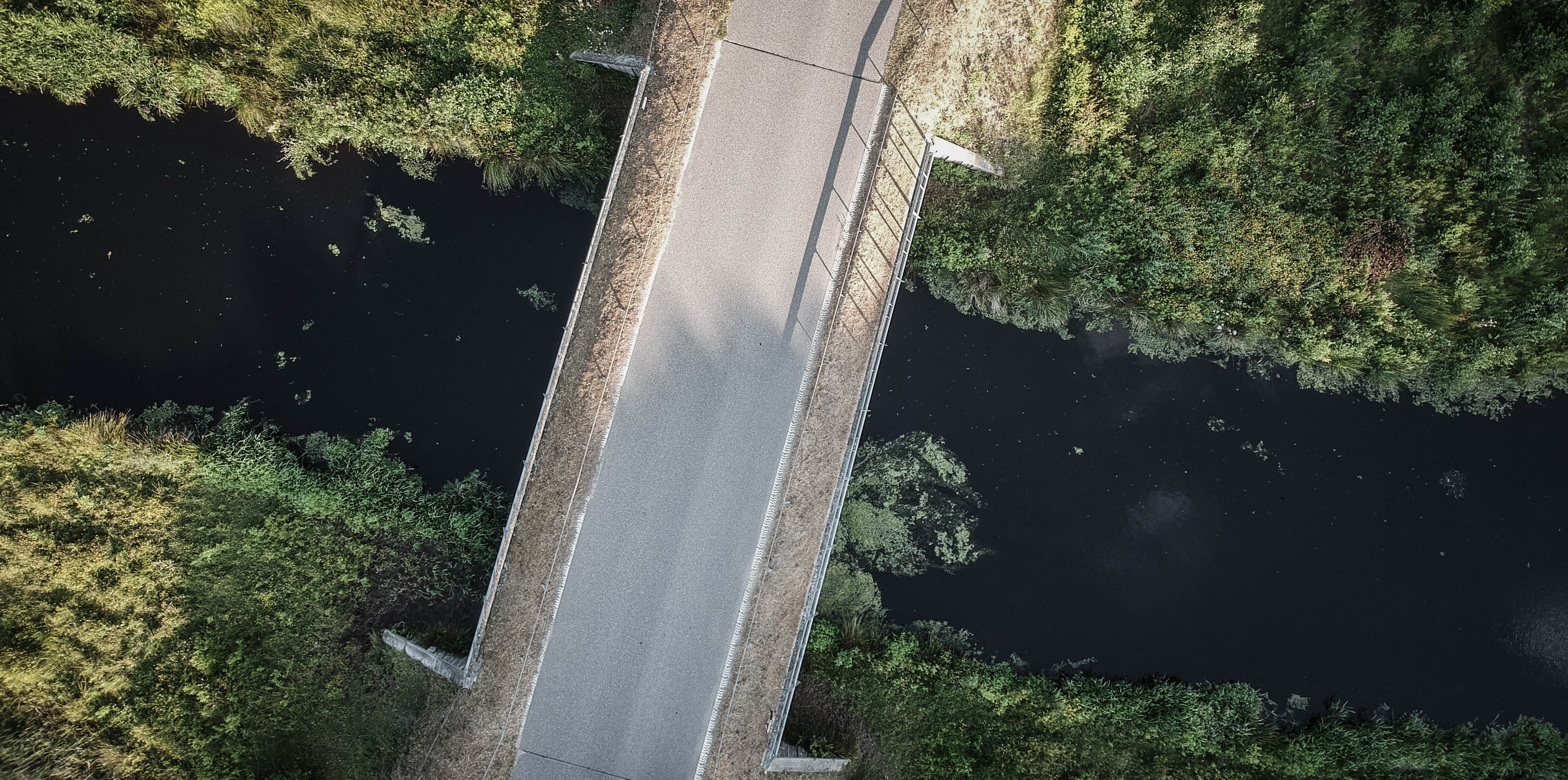 road, photography, road trip, travel, flora, green, sunlight, growth, bush, connection, motorway, aerial, woodland, view, outdoors, day, nature, high angle view, HD Wallpaper