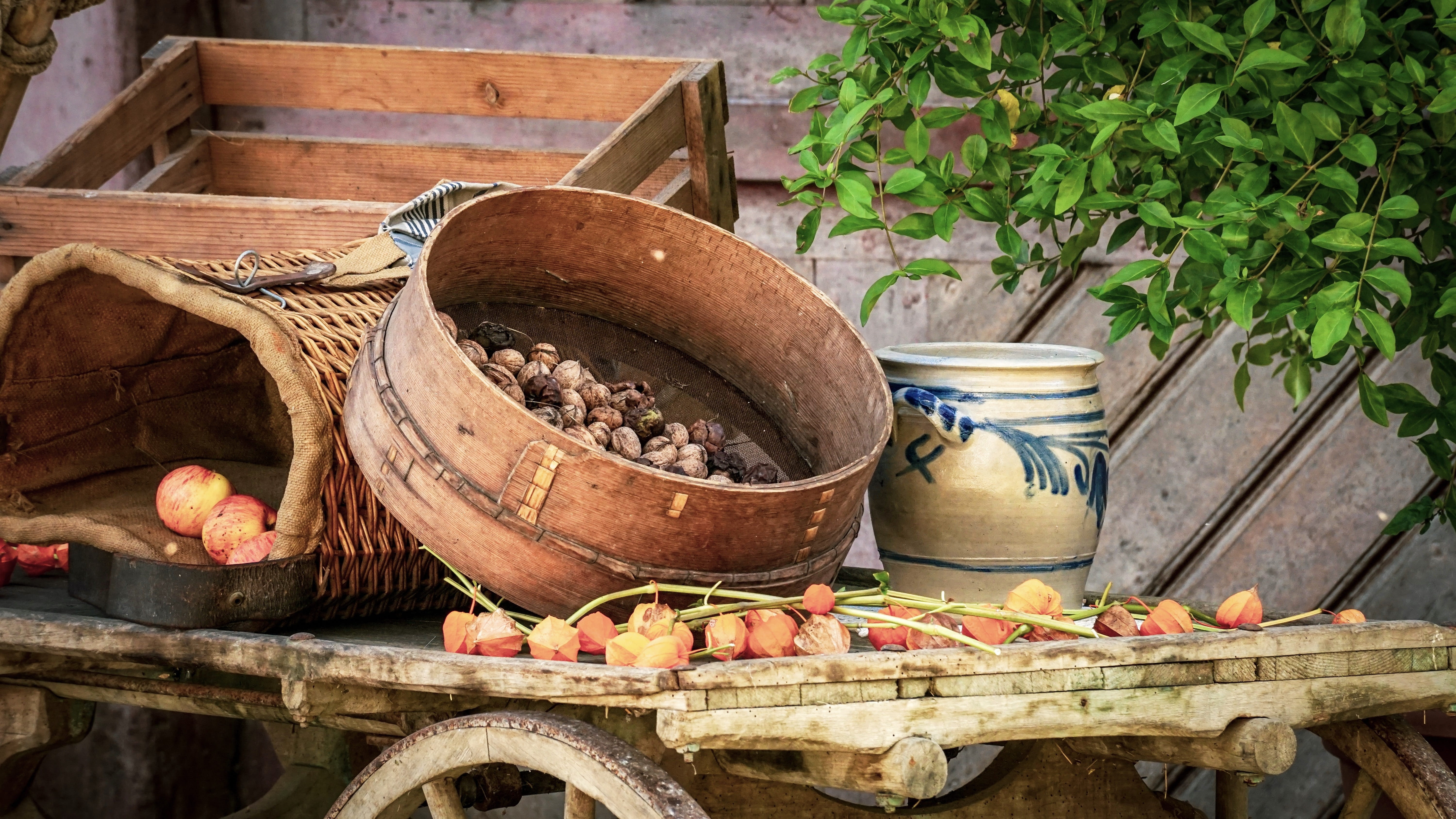 harvest, historically, time to happen, food, decoration, herbstimpression, plant, potted plant, household equipment, food and drink, growth, leaf, day, HD Wallpaper