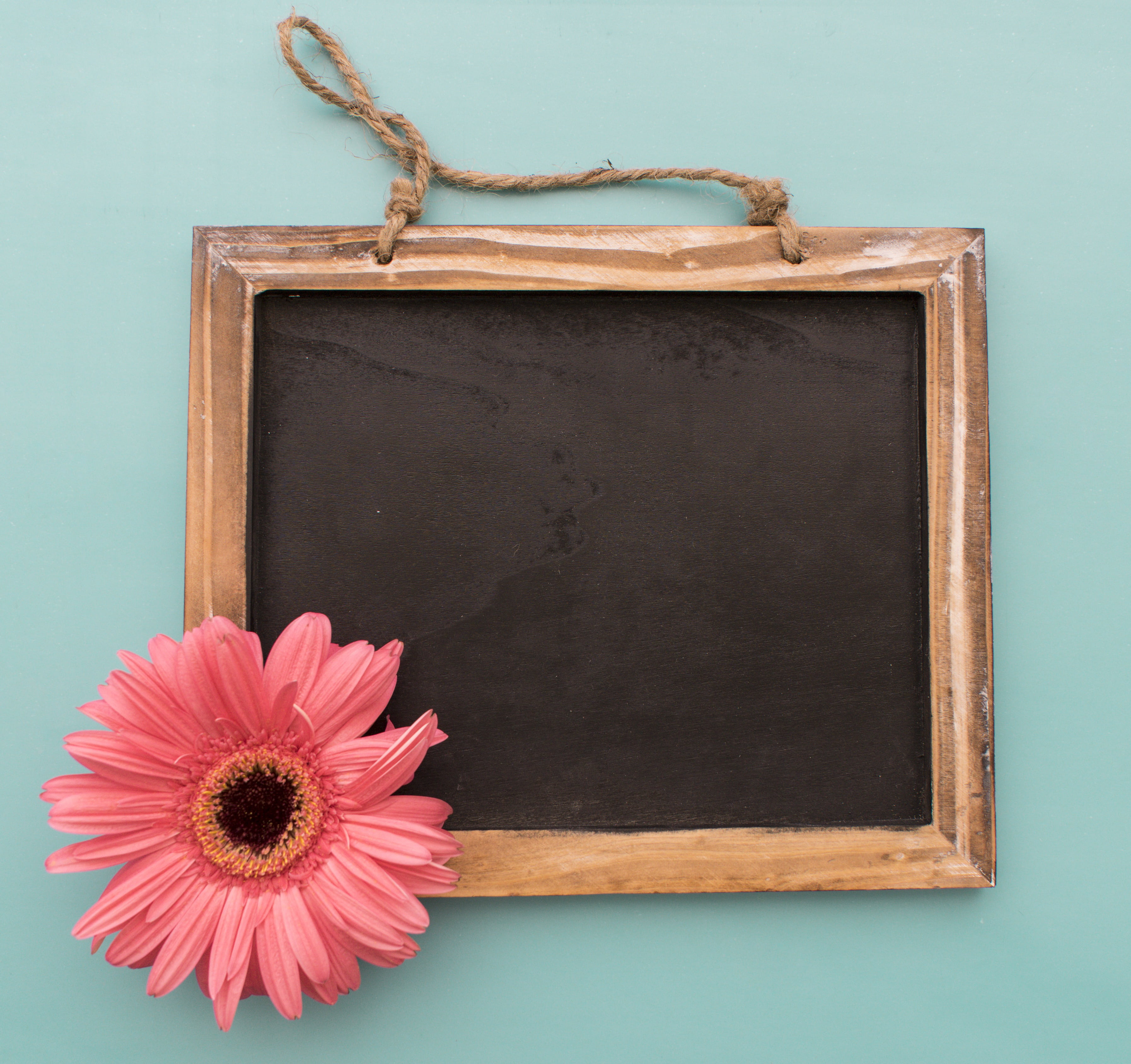 antique, close-up, blank, no people, black, frame, old, backgrounds, flowering plant, studio shot, chalkboard, brown, flowers, freshness, copy Space, flower head, HD Wallpaper