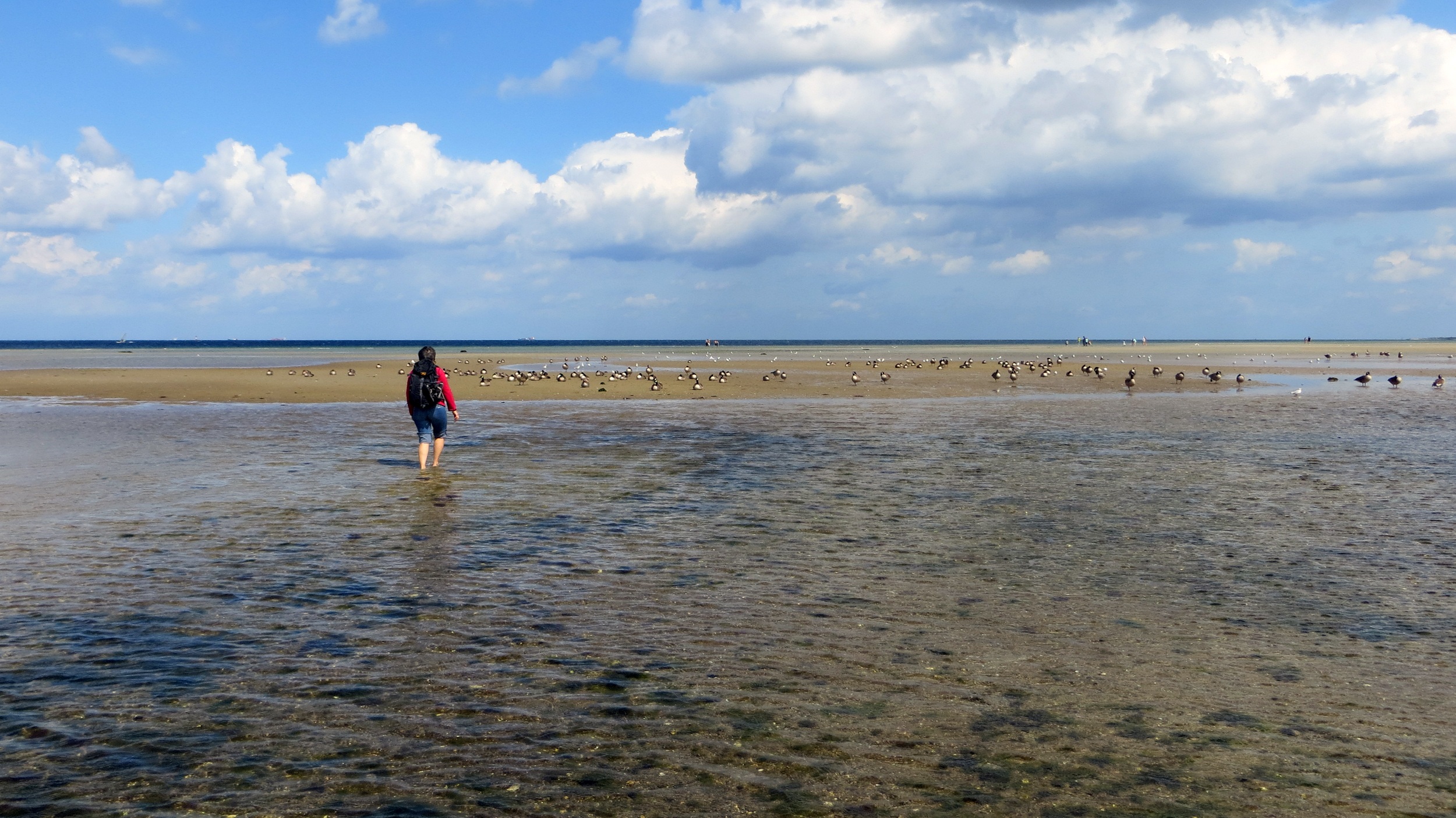 nature, sea, day, holidays, human, wanderin, coast, land, real people, cloud - sky, switch off, beach walk, sky, non-urban scene, scenics - nature, recovery, HD Wallpaper