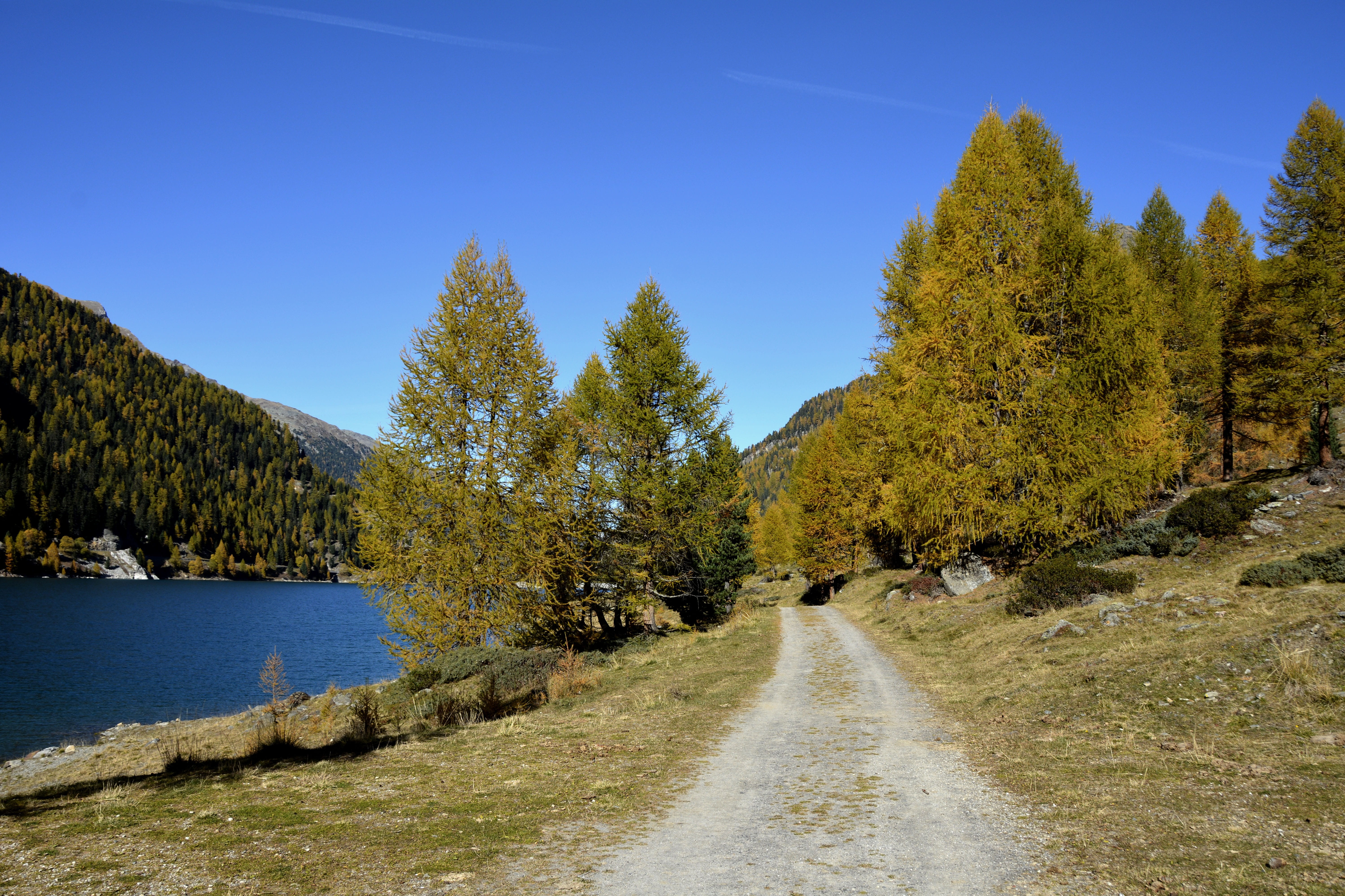 enjoy, reservoir, gray, non-urban scene, photography, promenade, away, land, lake, forest, direction, tranquil scene, south tyrol, blue, green, coniferous tree, HD Wallpaper