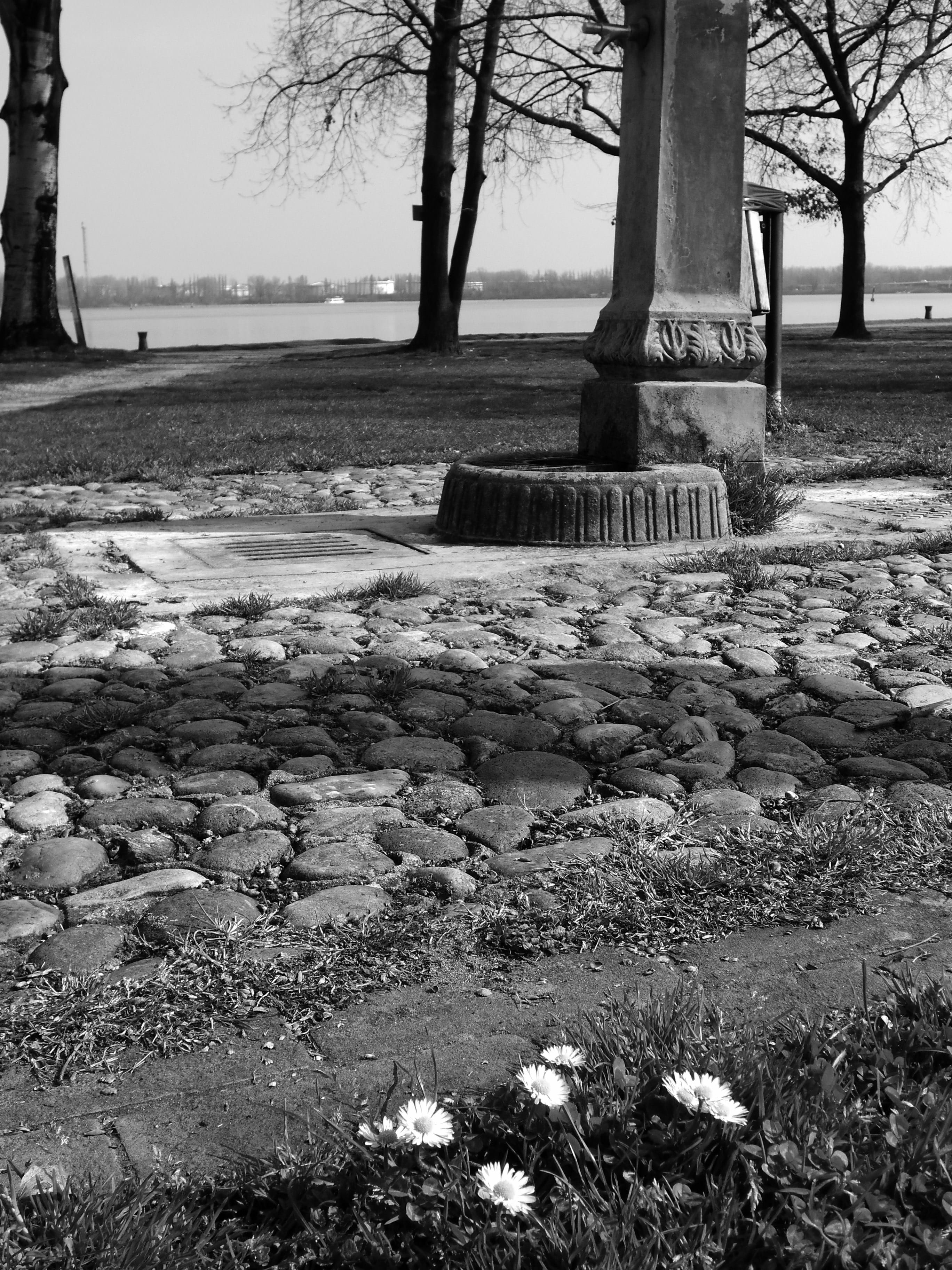 nature, writer, author, plant, grave, field, tranquil scene, tree, lake, cemetery, no people, water, 2K, outdoors, beauty in nature, stone, tranquility, Phone HD Wallpaper