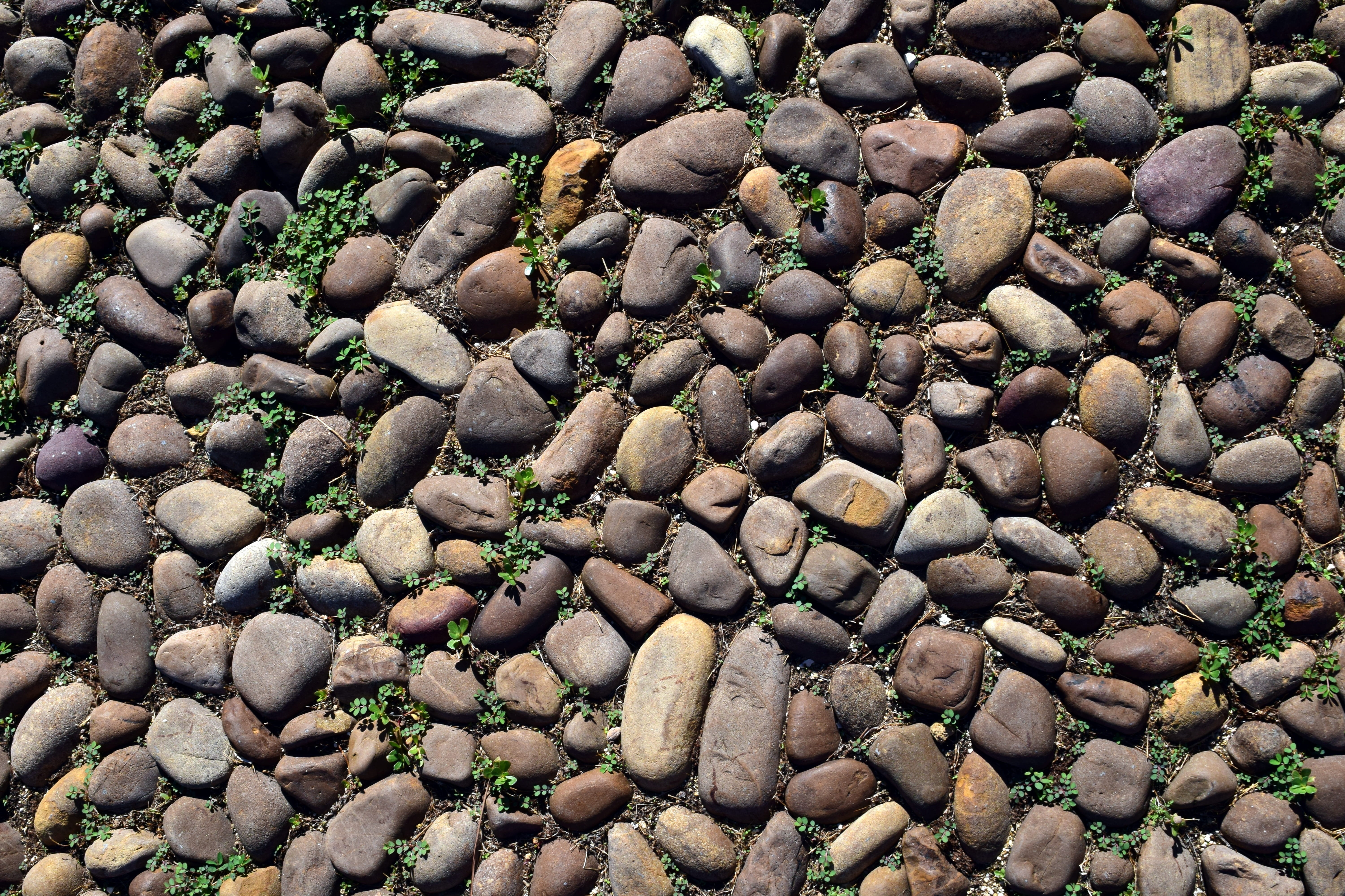 large group of objects, 5K, abundance, flooring, pebbles, background, high angle view, textured, stone, natural stone, day, no people, patch, rock, full frame, HD Wallpaper