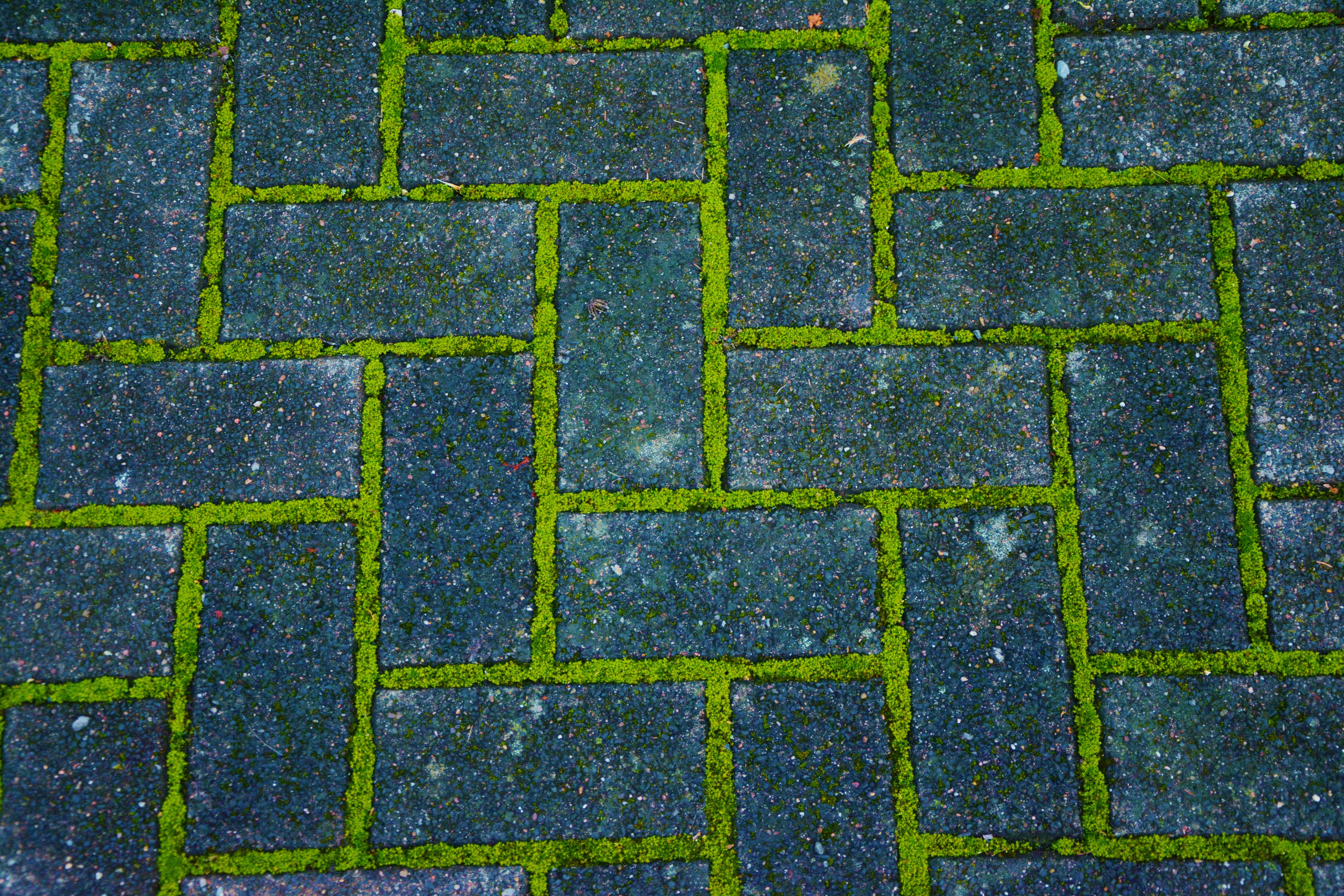paved, structure, pattern, backgrounds, grey, green, paving stone, tile, stones, geometric shape, paving stones, patch, concrete, flooring, green color, HD Wallpaper