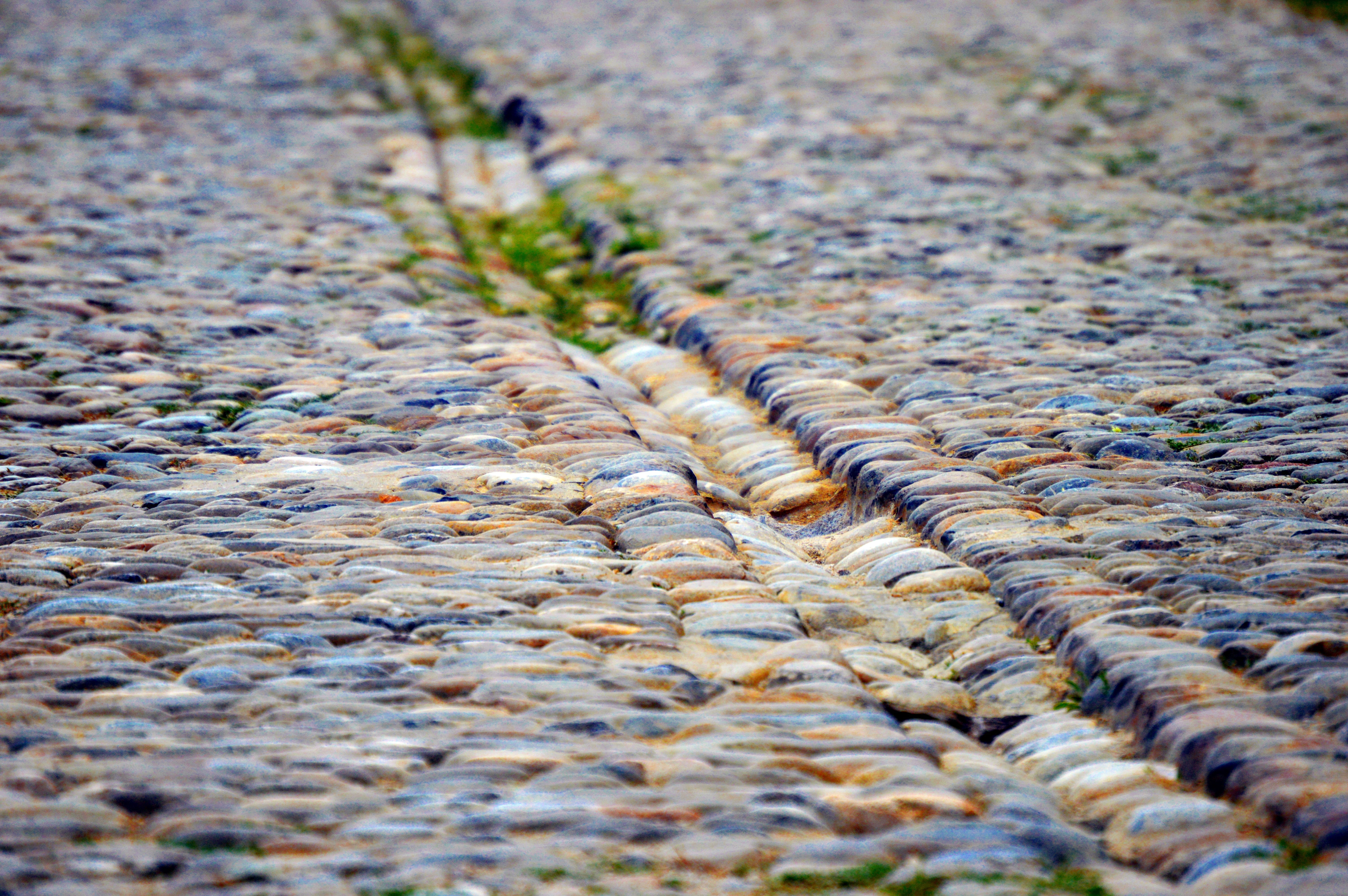 ground, selective focus, hiking, focus on foreground, nature, architecture, shiny, structure, patch, 5K, paved, stone, away, day, flooring, paving stones, HD Wallpaper