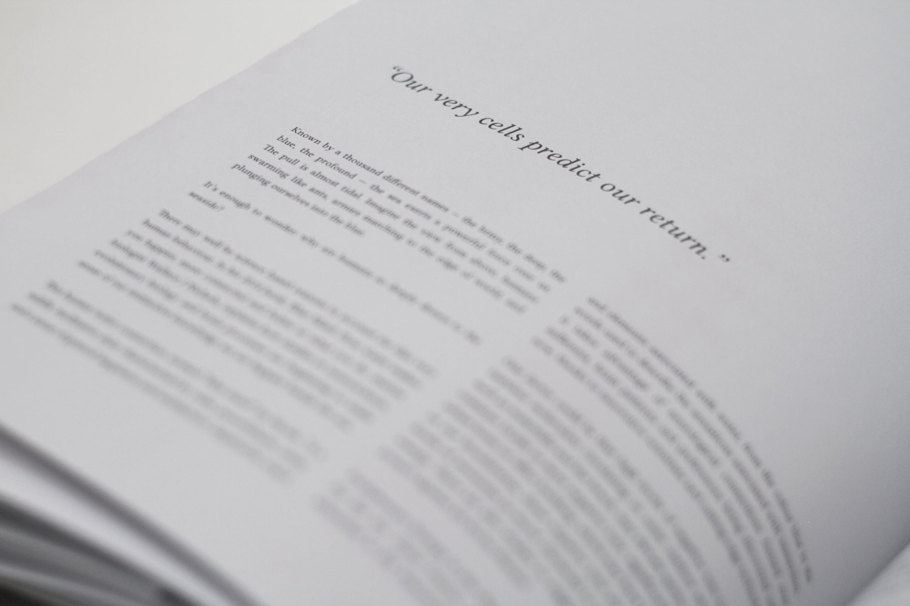 text, publication, page, data, book, selective focus, full frame, communication, magazine, print, business, no people, signing, agreement, 2K, report, HD Wallpaper