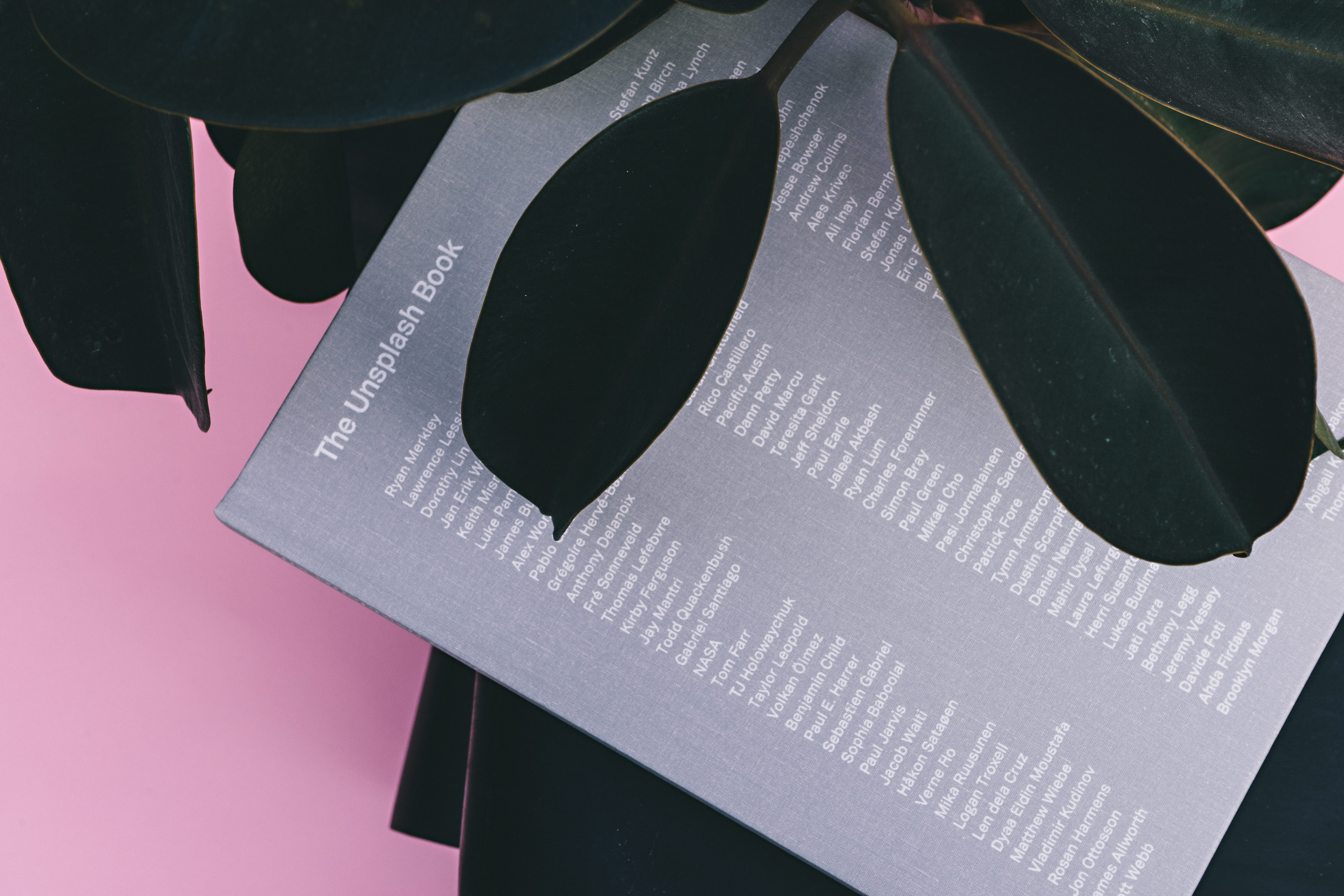 pink, hardcover book, green, paper, plant, movie, film reel, leafed, still life, name, publish, technology, reading, close-up, business, indoors, 5K, arts culture and entertainment, HD Wallpaper